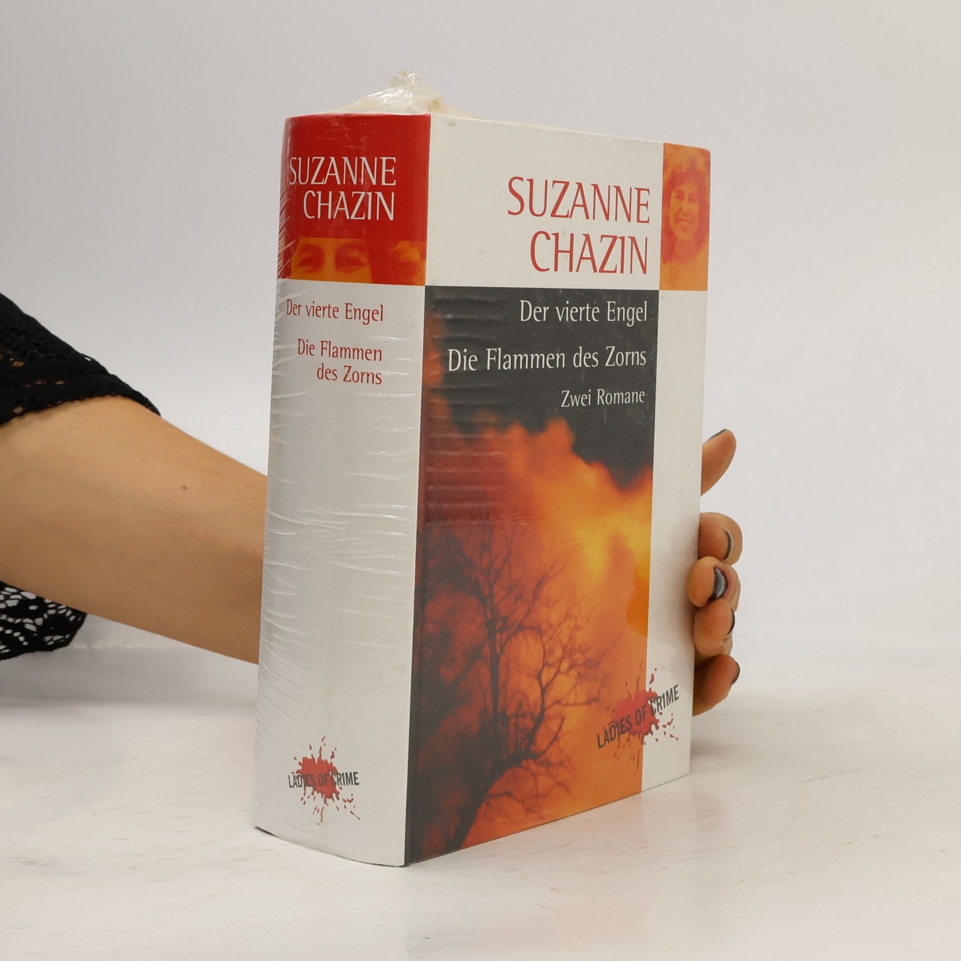 Suzanne Chazin Der vierte Engel. Die Flammen des Zorns