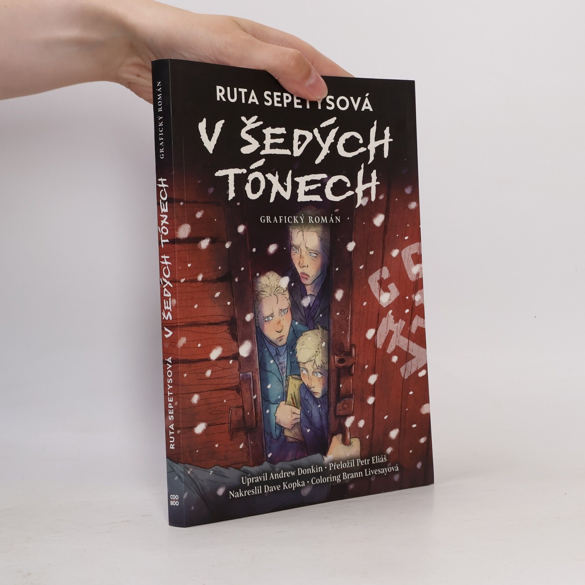 Ruta Sepetys V šedých tónech