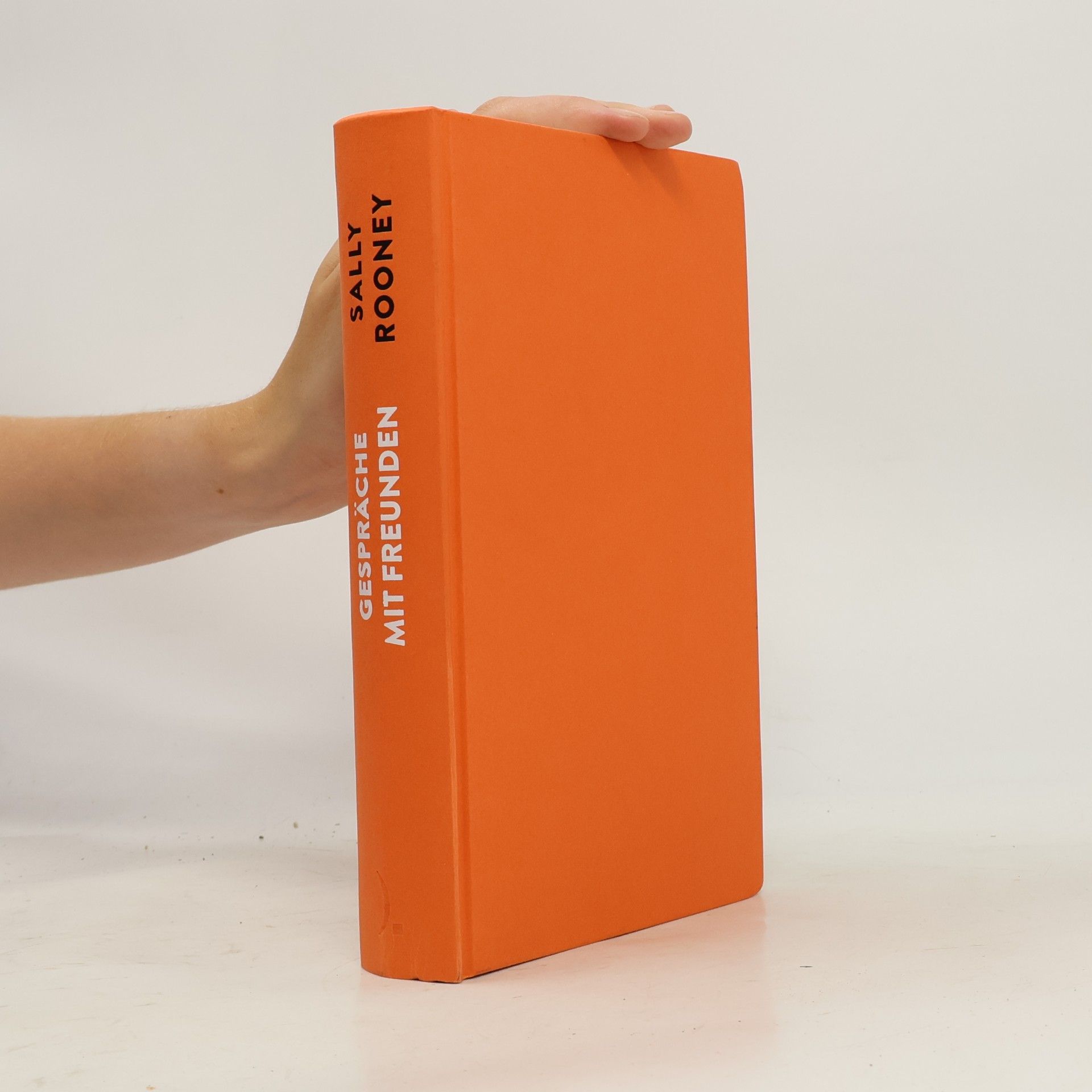 Sally Rooney Gespräche mit Freunden