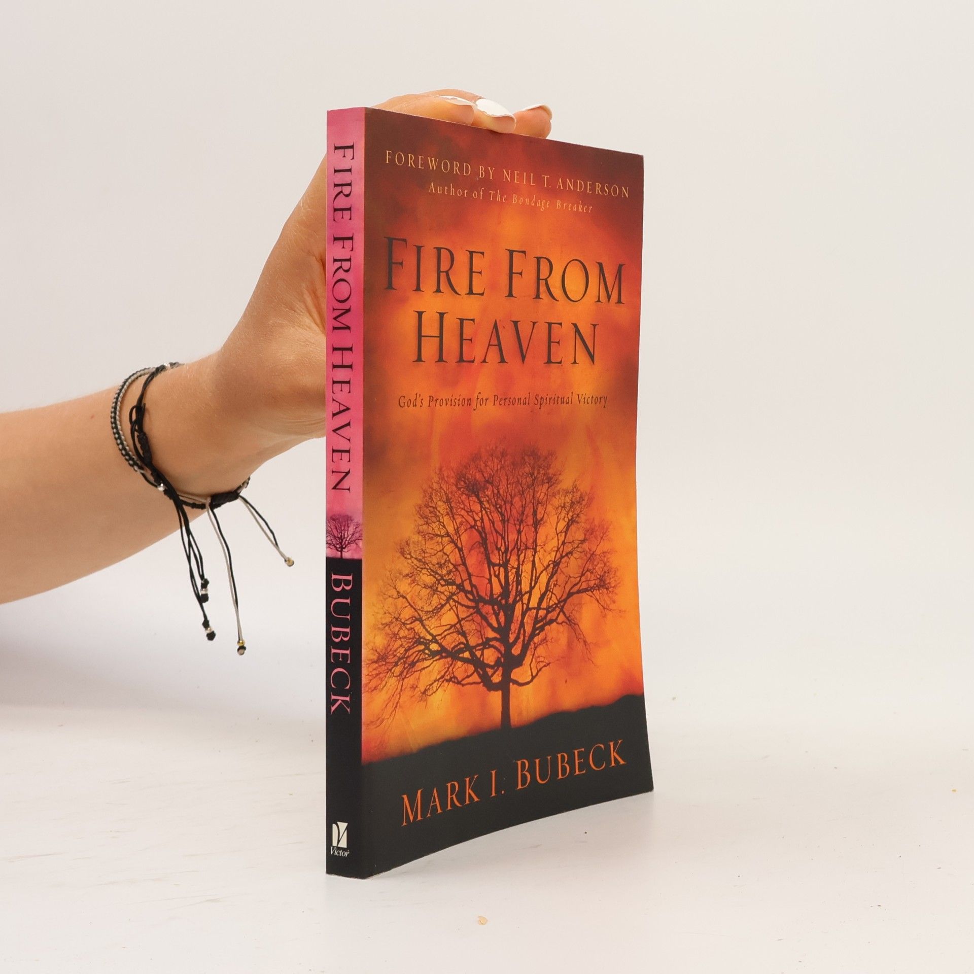 Mark I. Bubeck Fire from Heaven