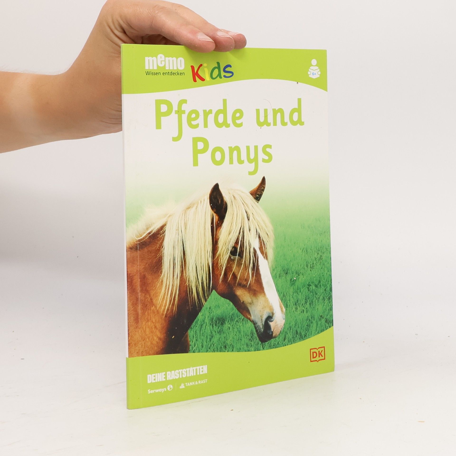 Caroline Stamps Pferde und Ponys