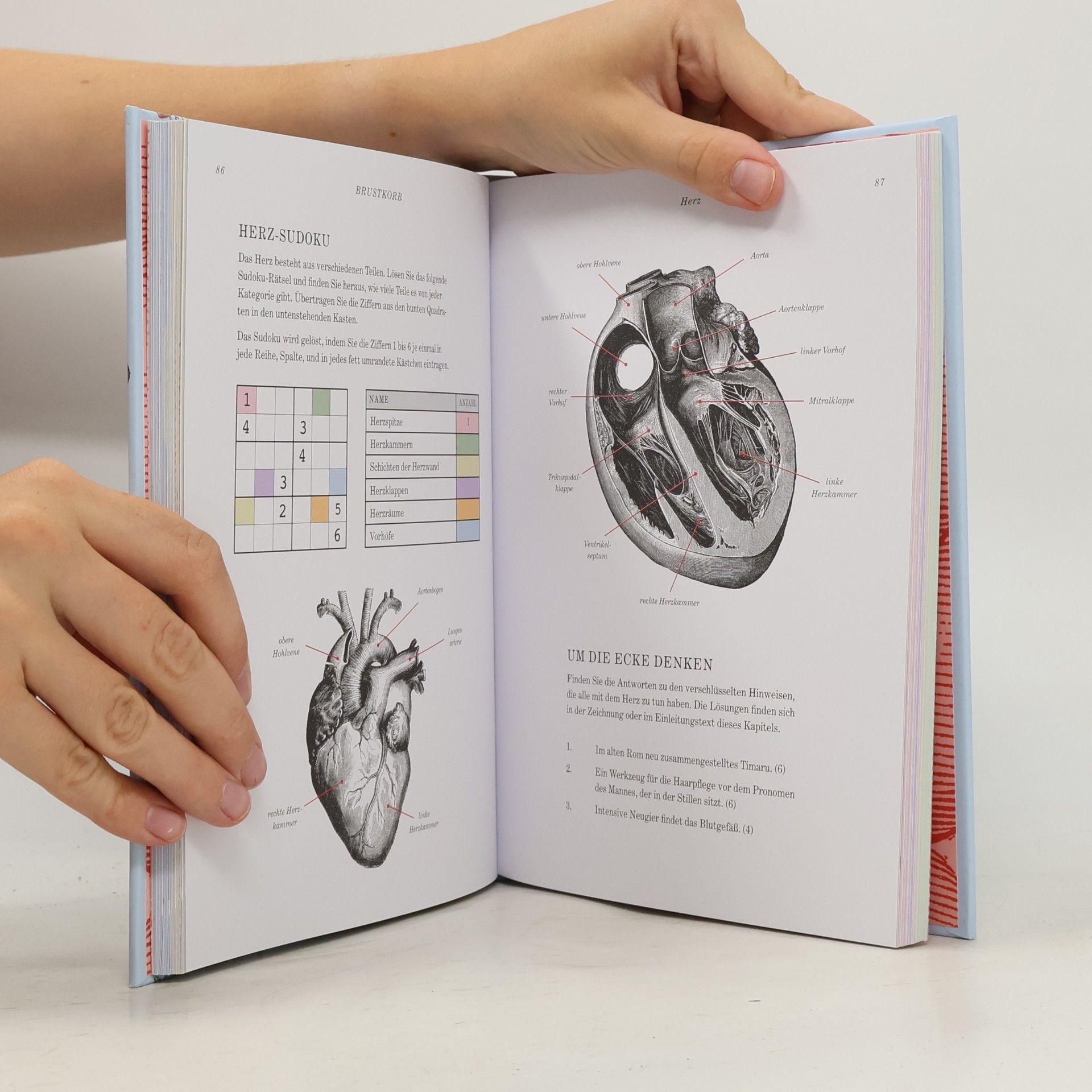 Gareth Moore Gray's Anatomie Rätselbuch