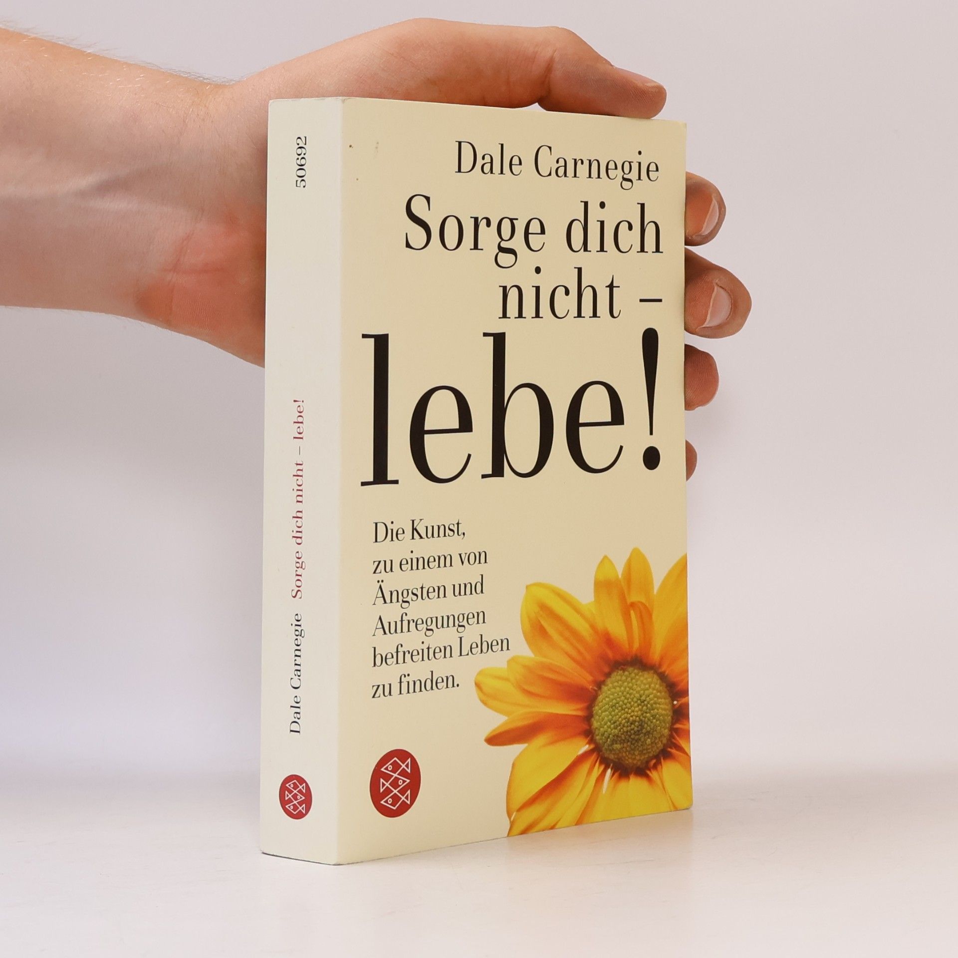 Dale Carnegie Sorge dich nicht - lebe!