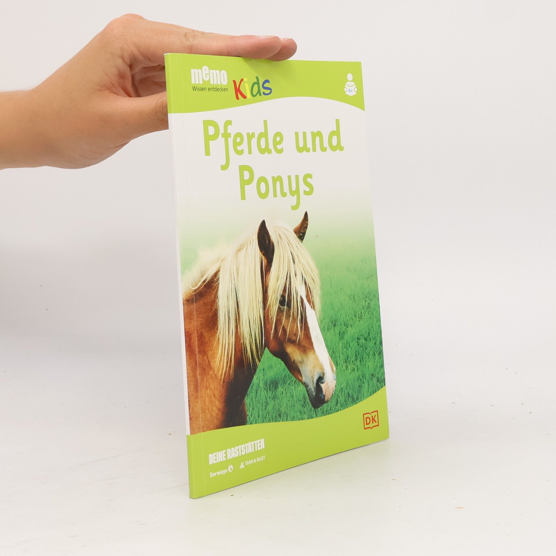Caroline Stamps Pferde und Ponys