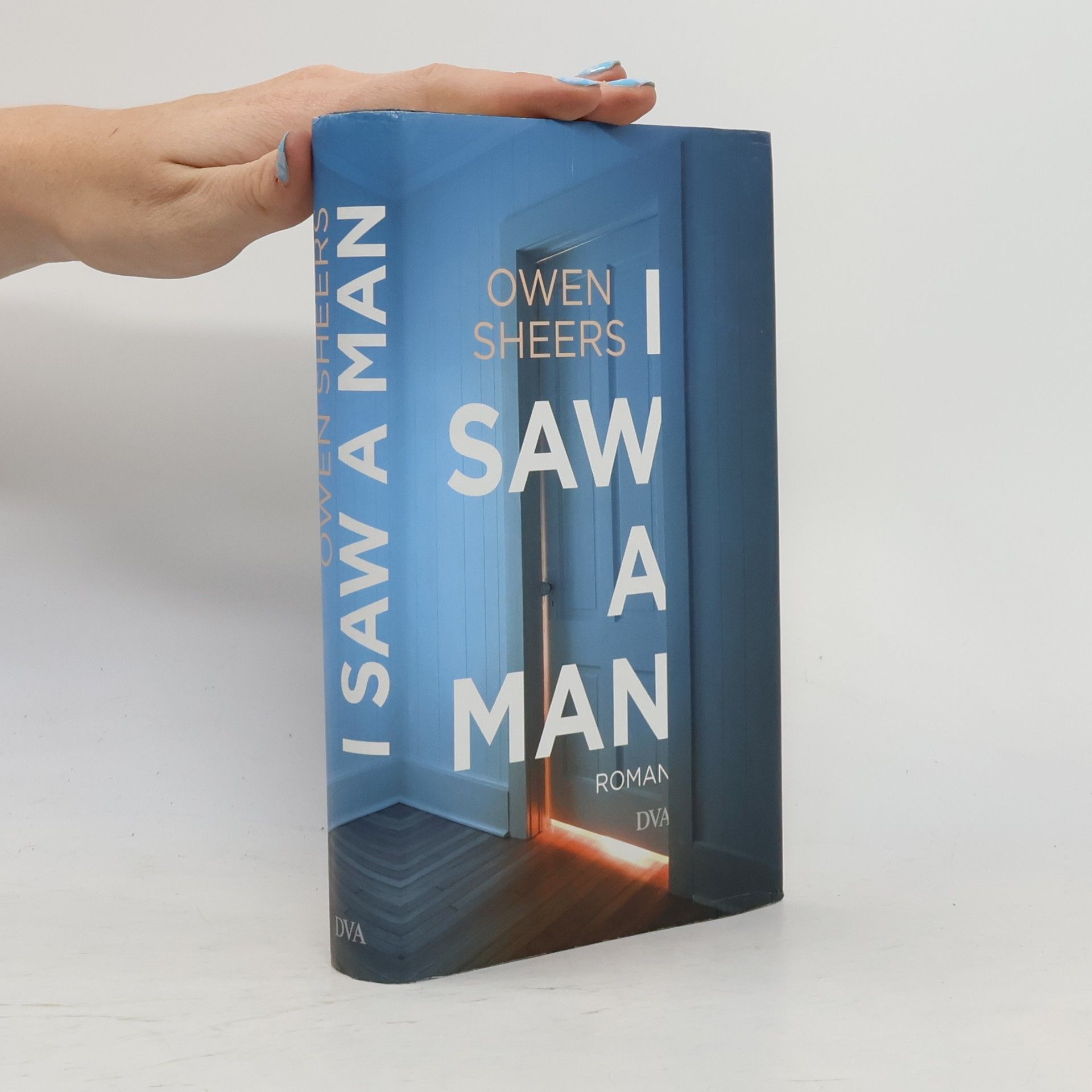 Owen Sheers I Saw a Man