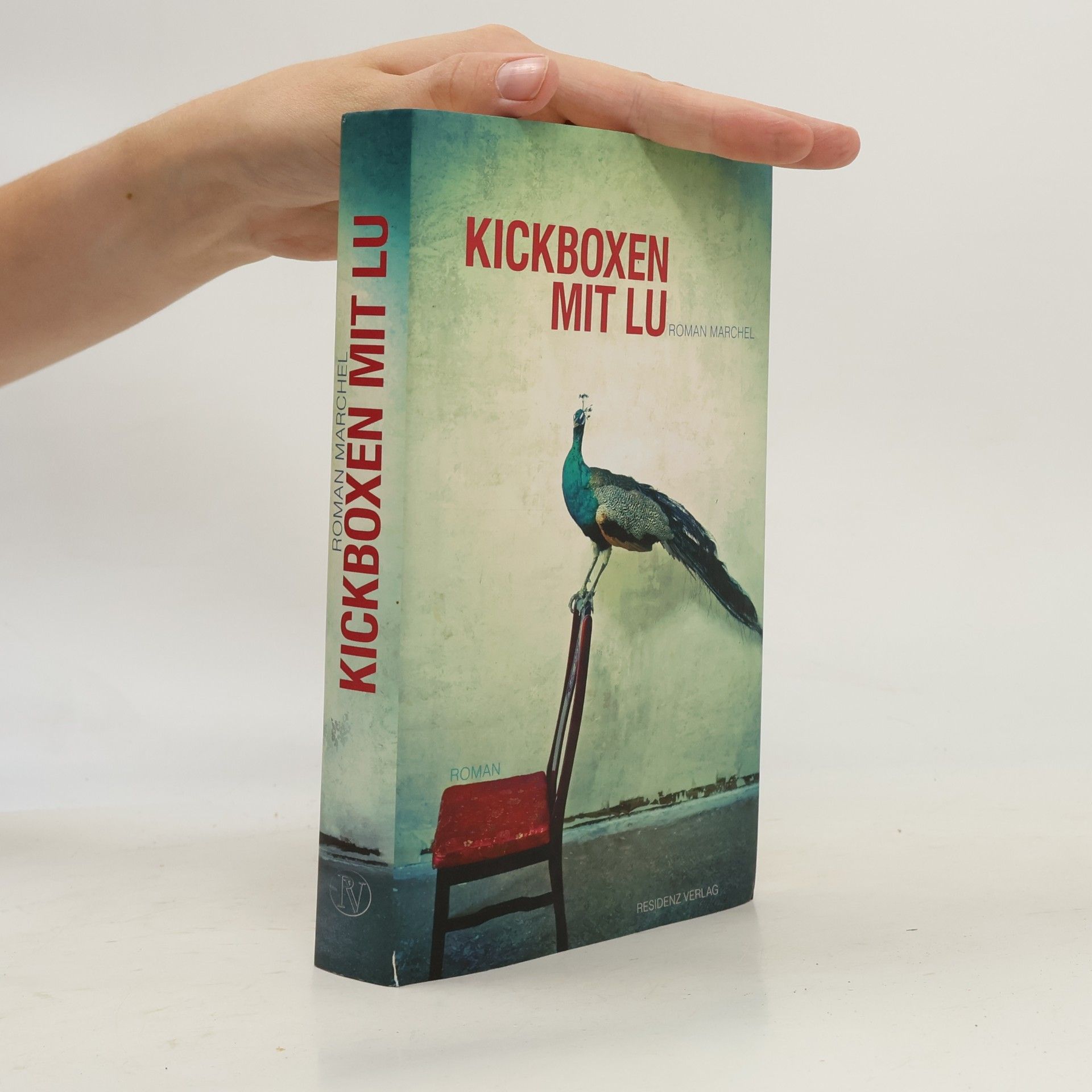 Roman Marchel Kickboxen mit Lu