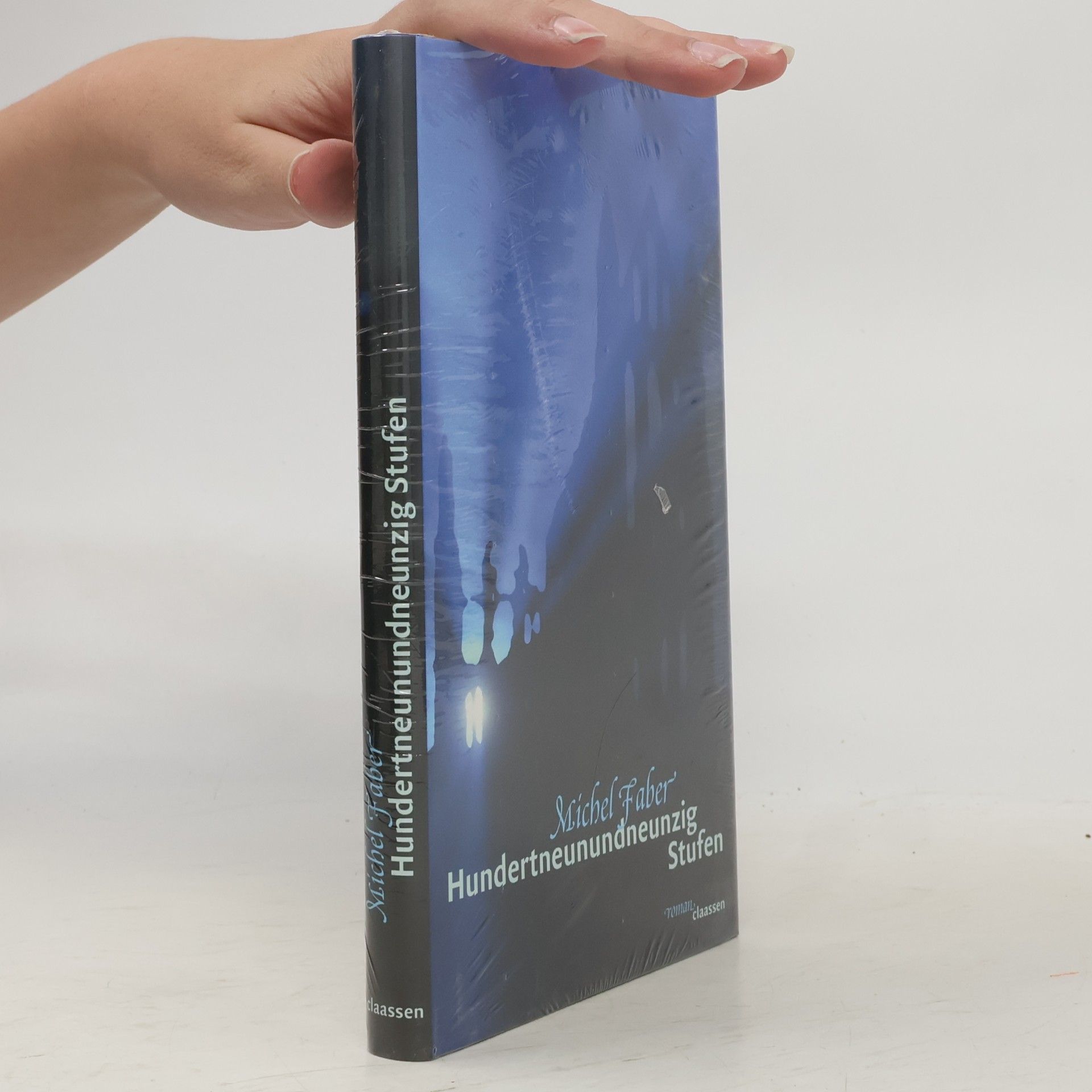 Michel Faber Hundertneunundneunzig Stufen
