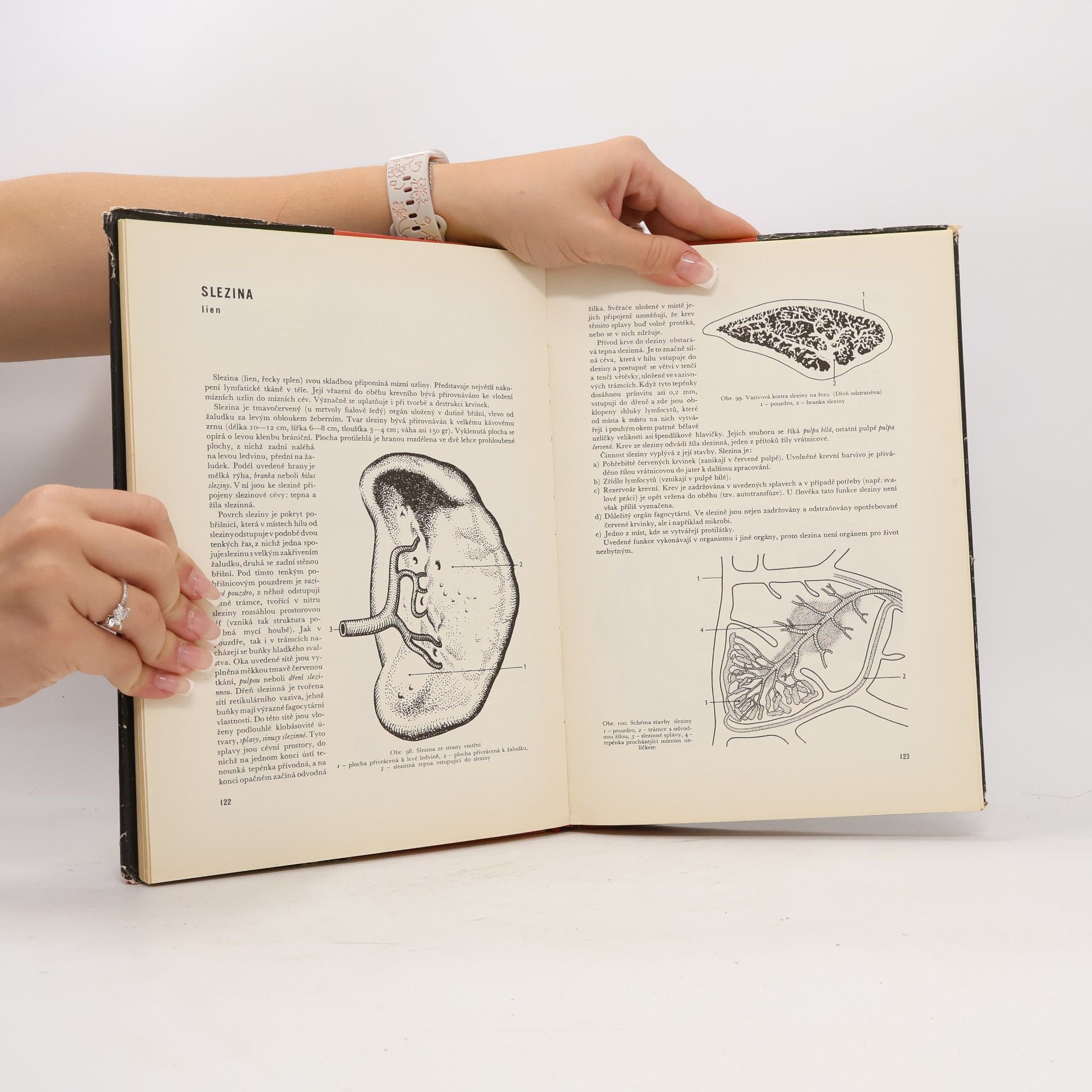 Jaroslav Fleischmann Anatomie člověka II