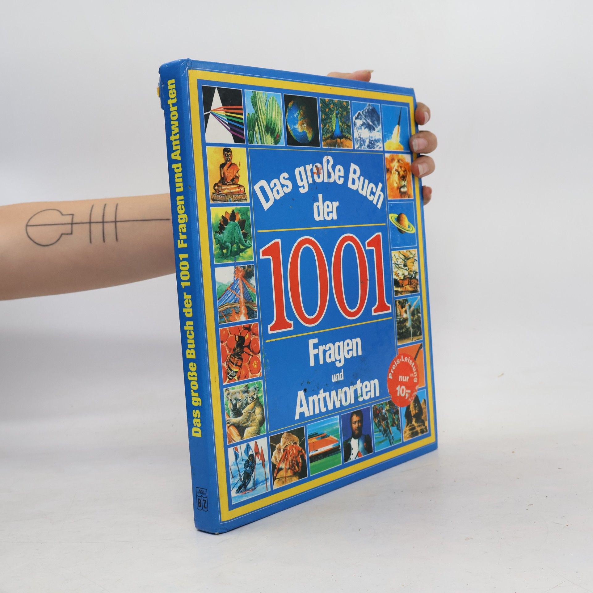 Autorenkollektiv Das große Buch der 1001 Fragen und Antworten