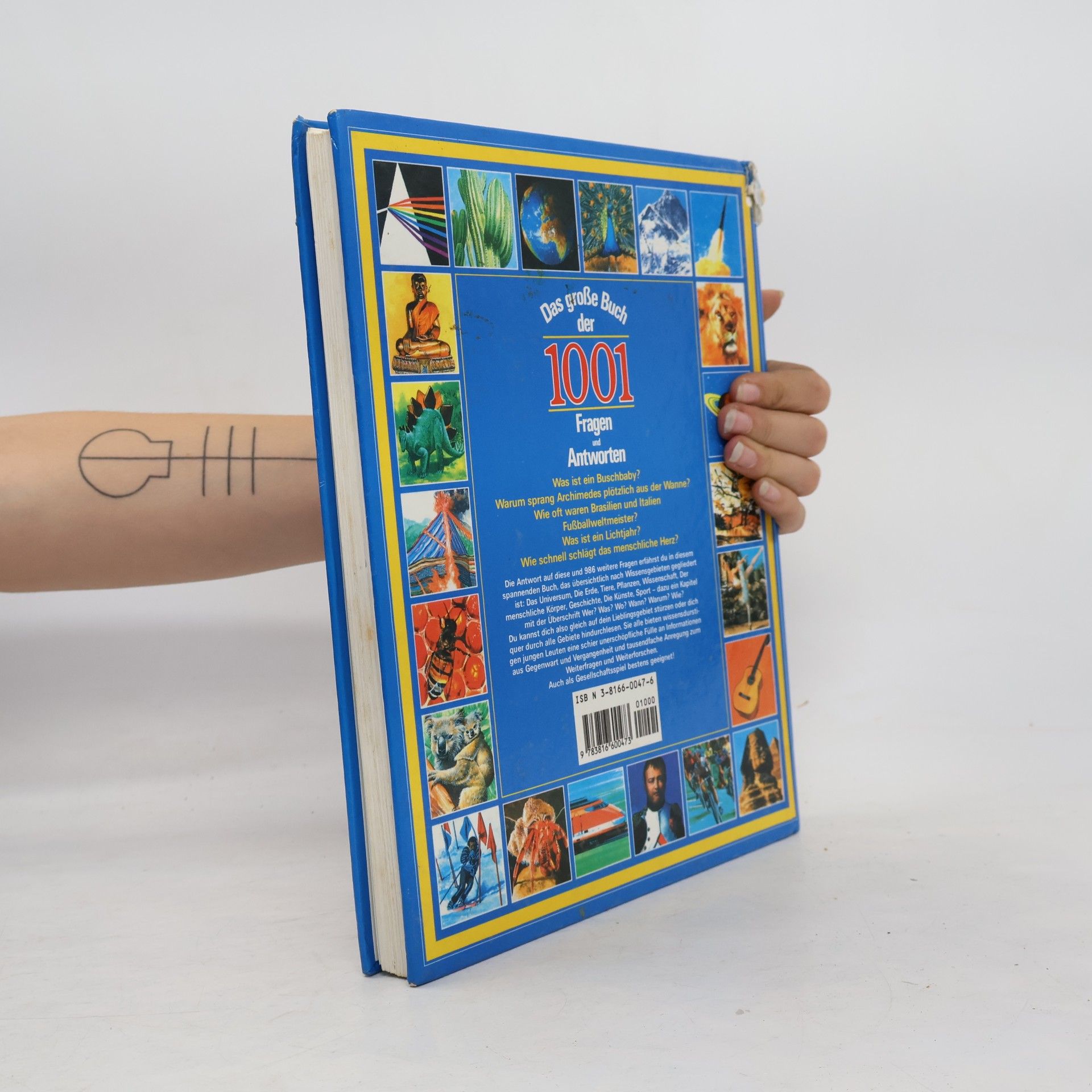 Autorenkollektiv Das große Buch der 1001 Fragen und Antworten