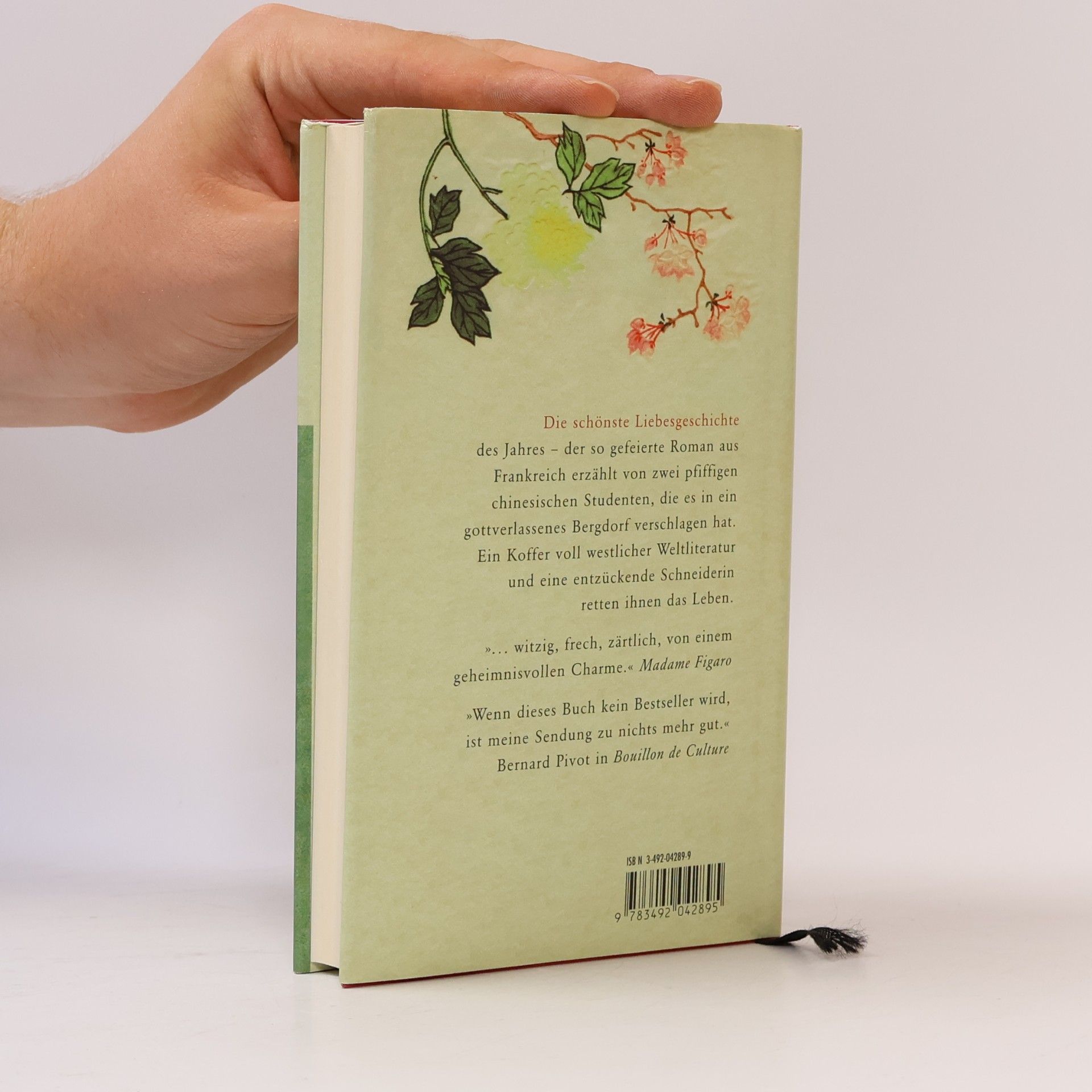 Dai Sijie Balzac und die kleine chinesische Schneiderin