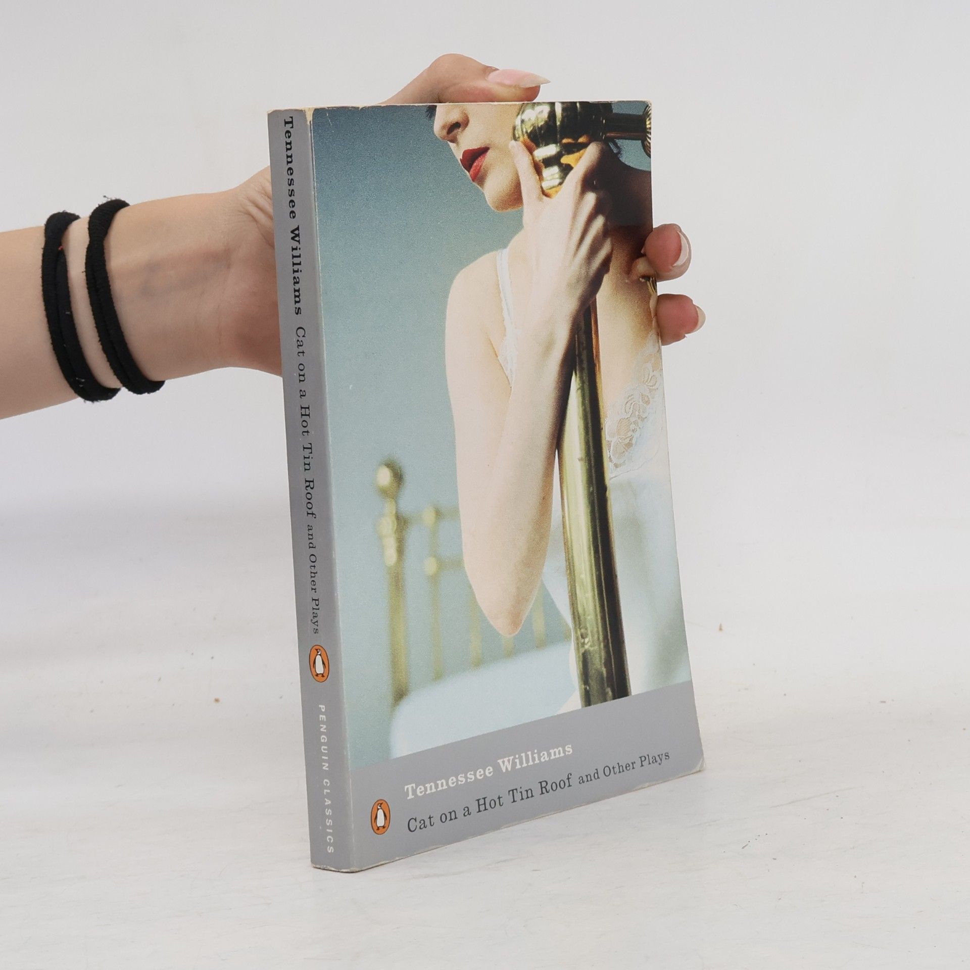 Tennessee Williams Cat on a Hot Tin Roof And Other Plays