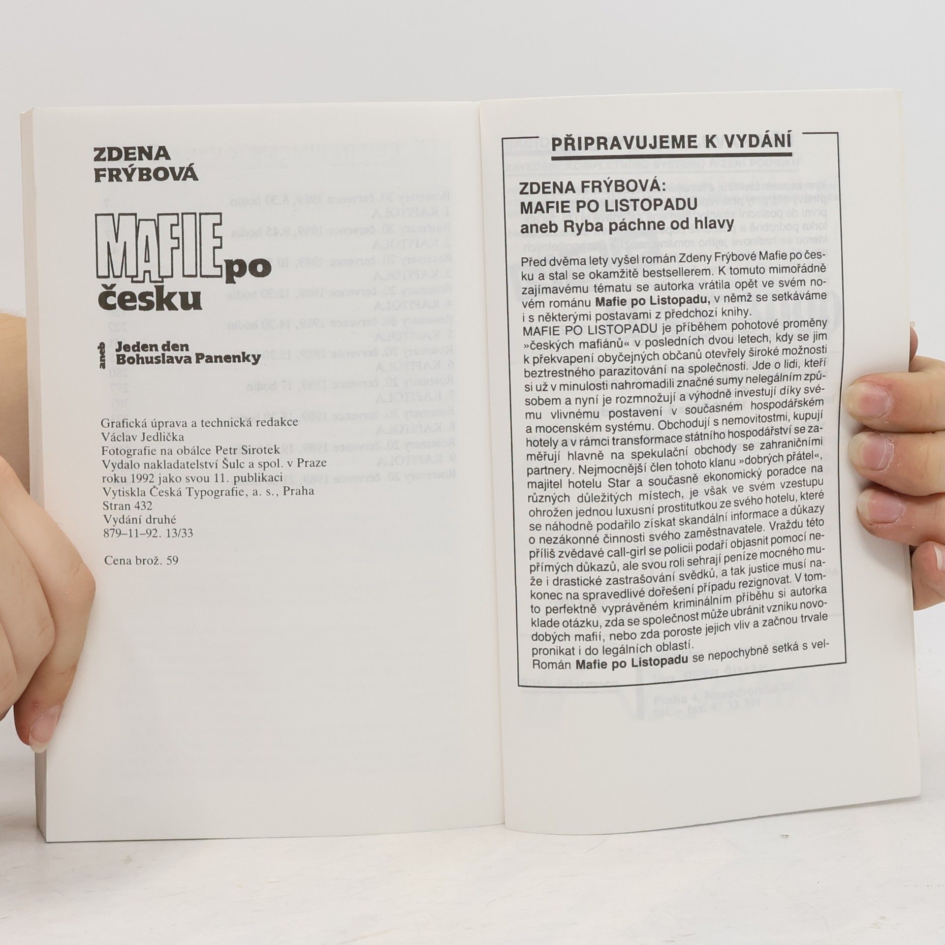 Zdena Frýbová Mafie po česku
