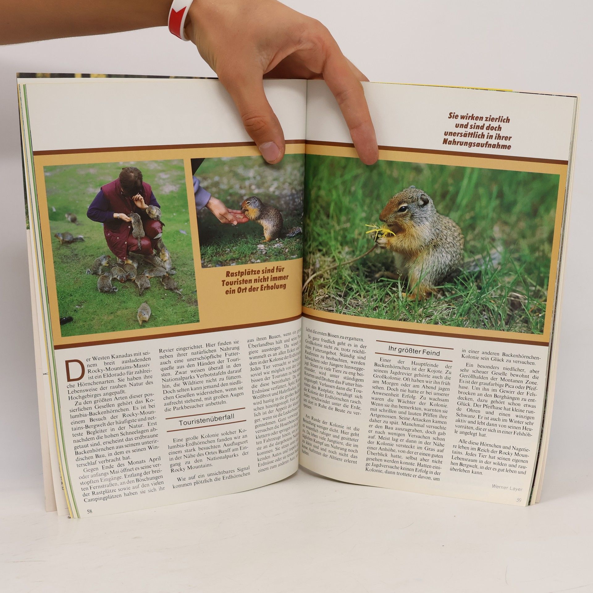 kolektiv Tierschutz Kalender 1992