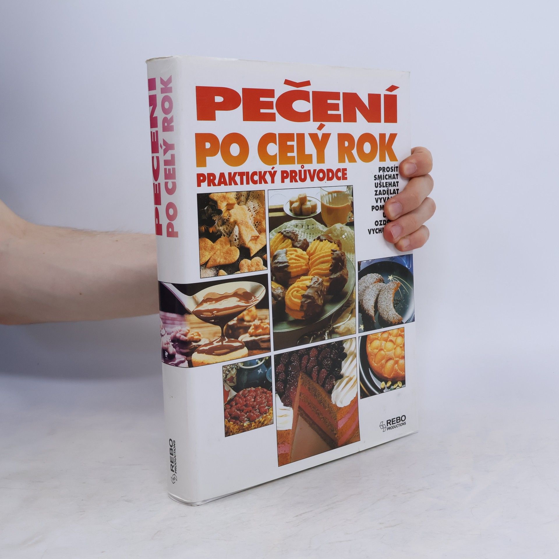 Hana Hejnalová Pečení po celý rok : praktický průvodce