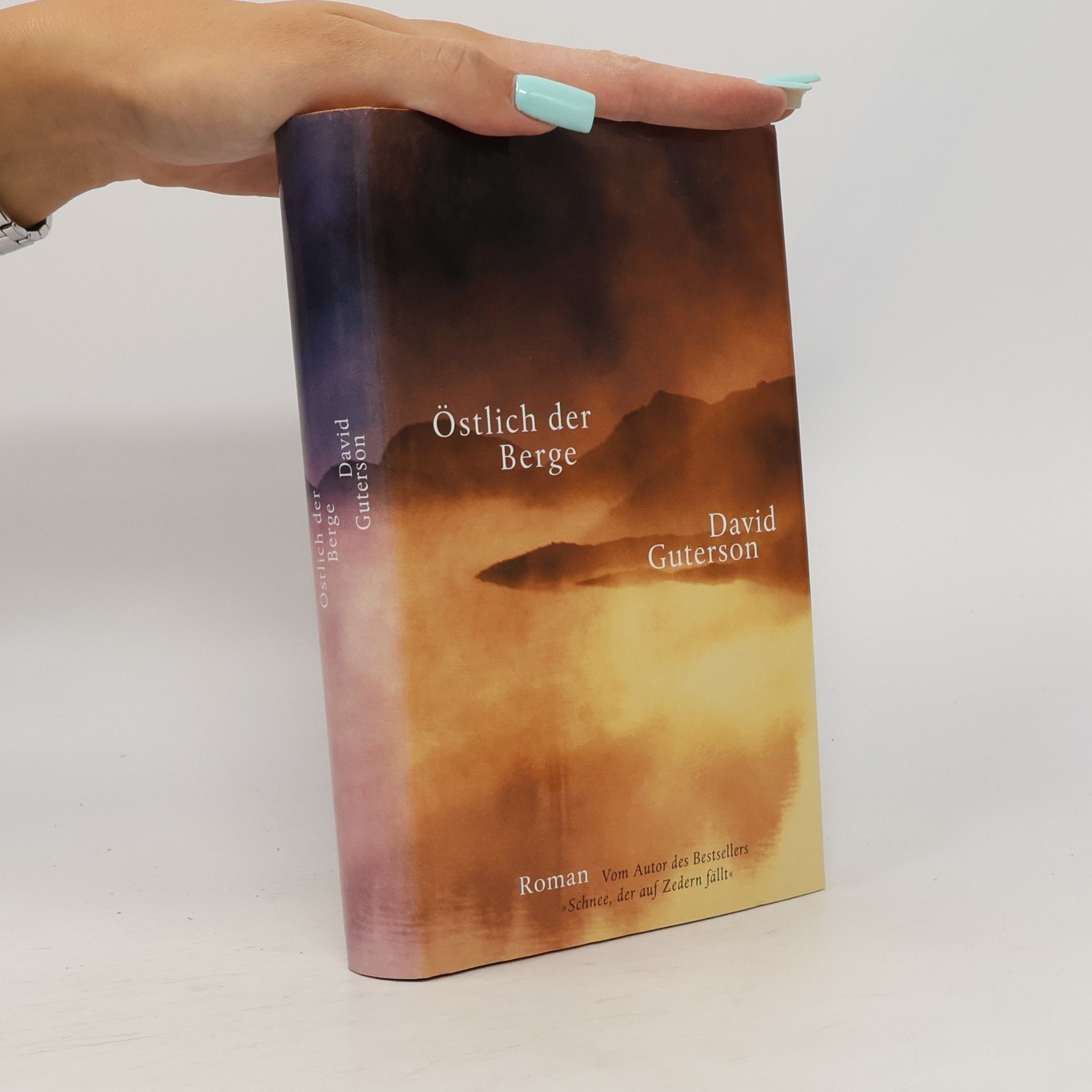 David Guterson Östlich der Berge