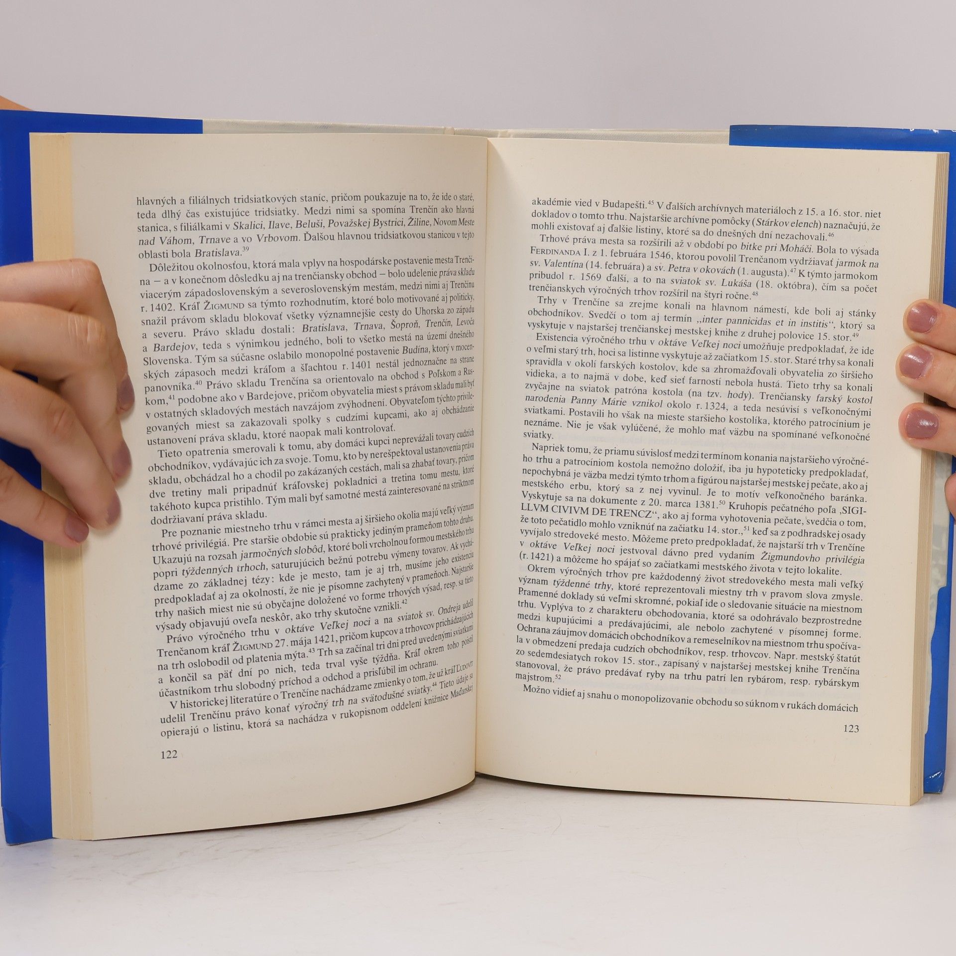Various authors Trenčín