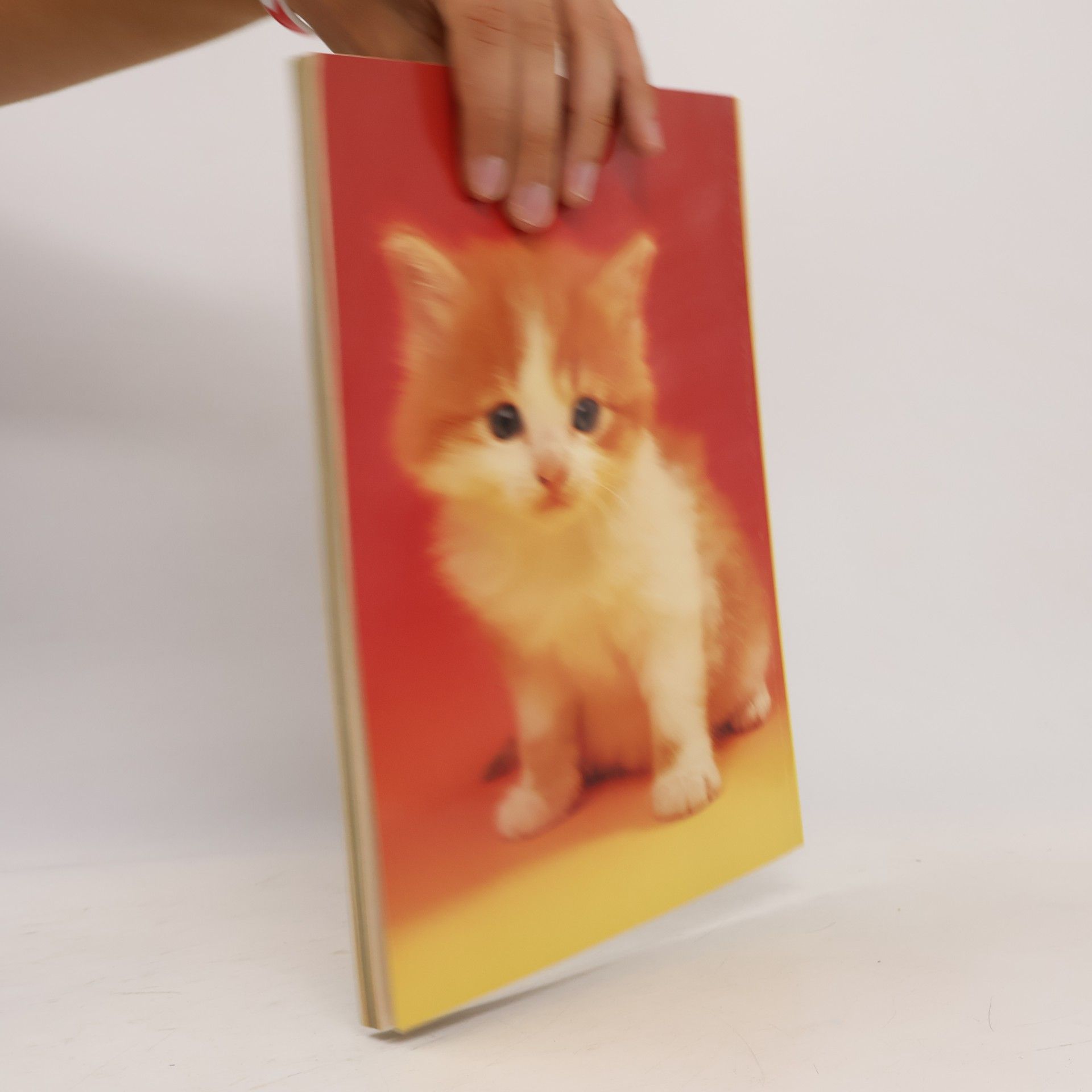kolektiv Tierschutz Kalender 1991