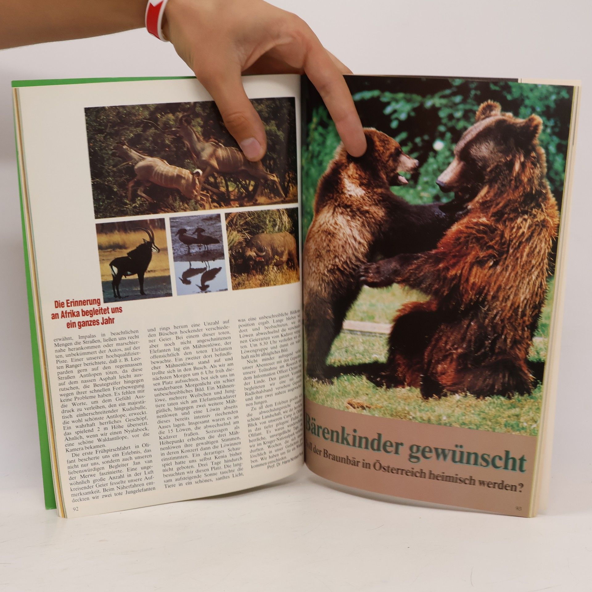 kolektiv Tierschutz Kalender 1991