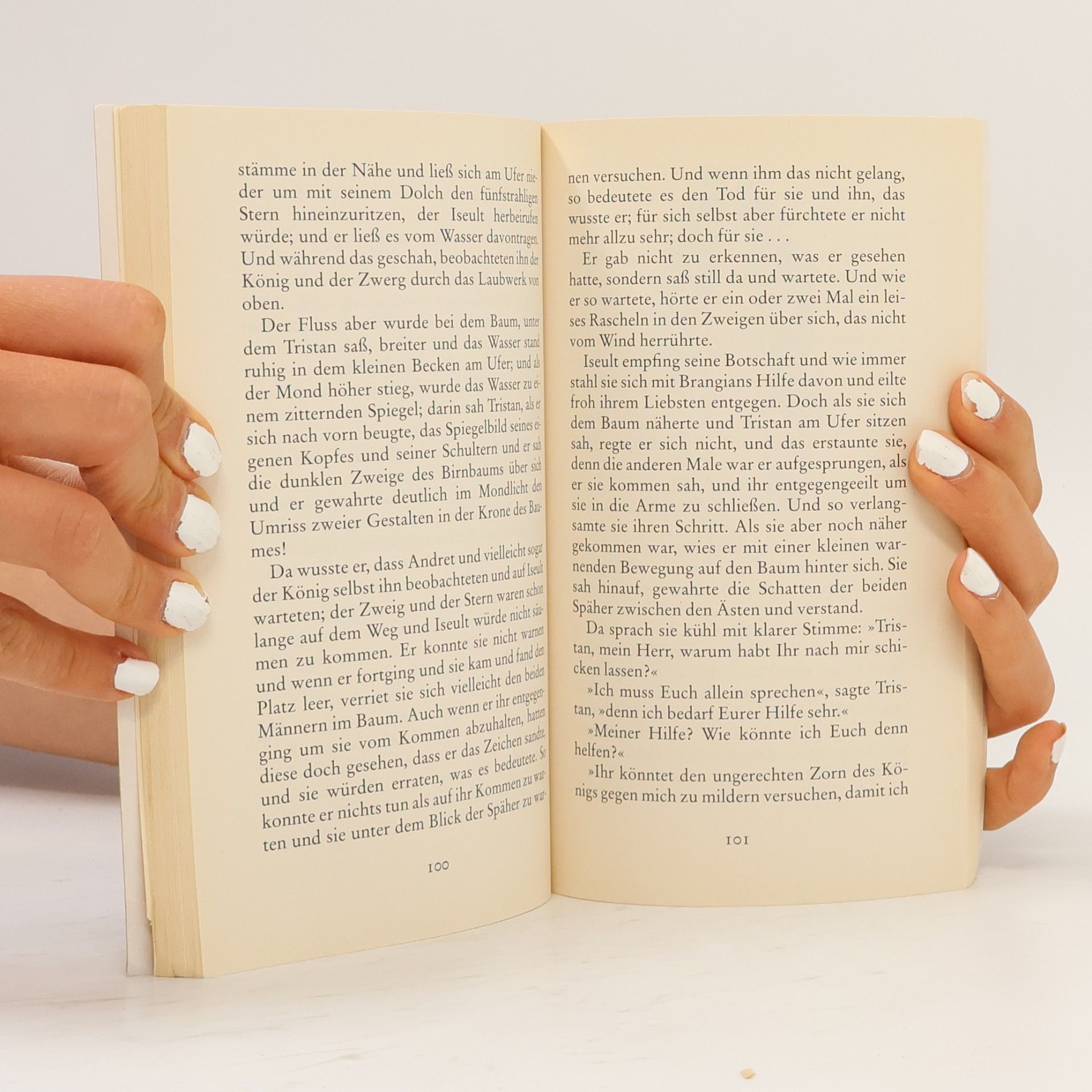 Rosemary Sutcliff Tristan und Iseult