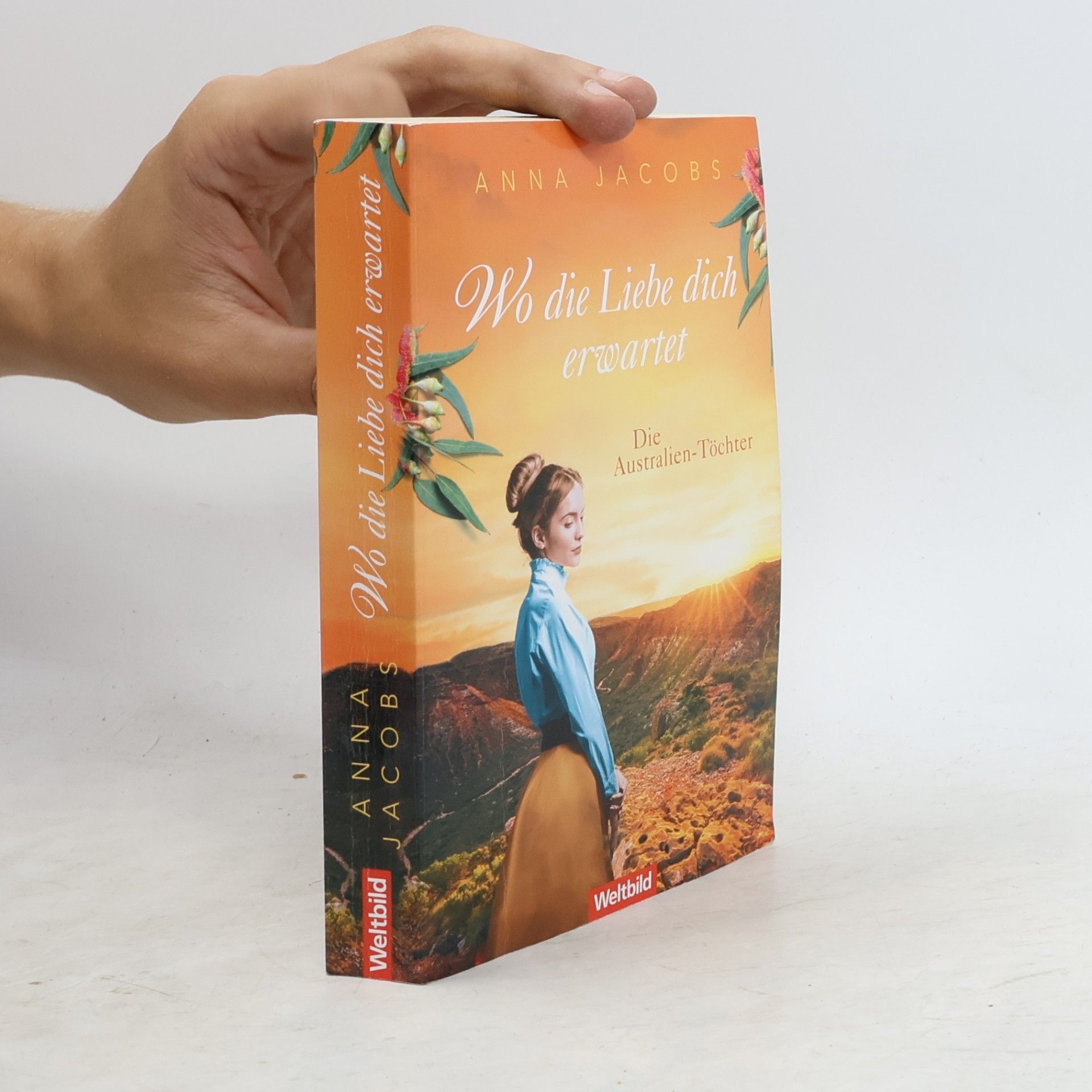 Anna Jacobs Wo die Liebe dich erwartet