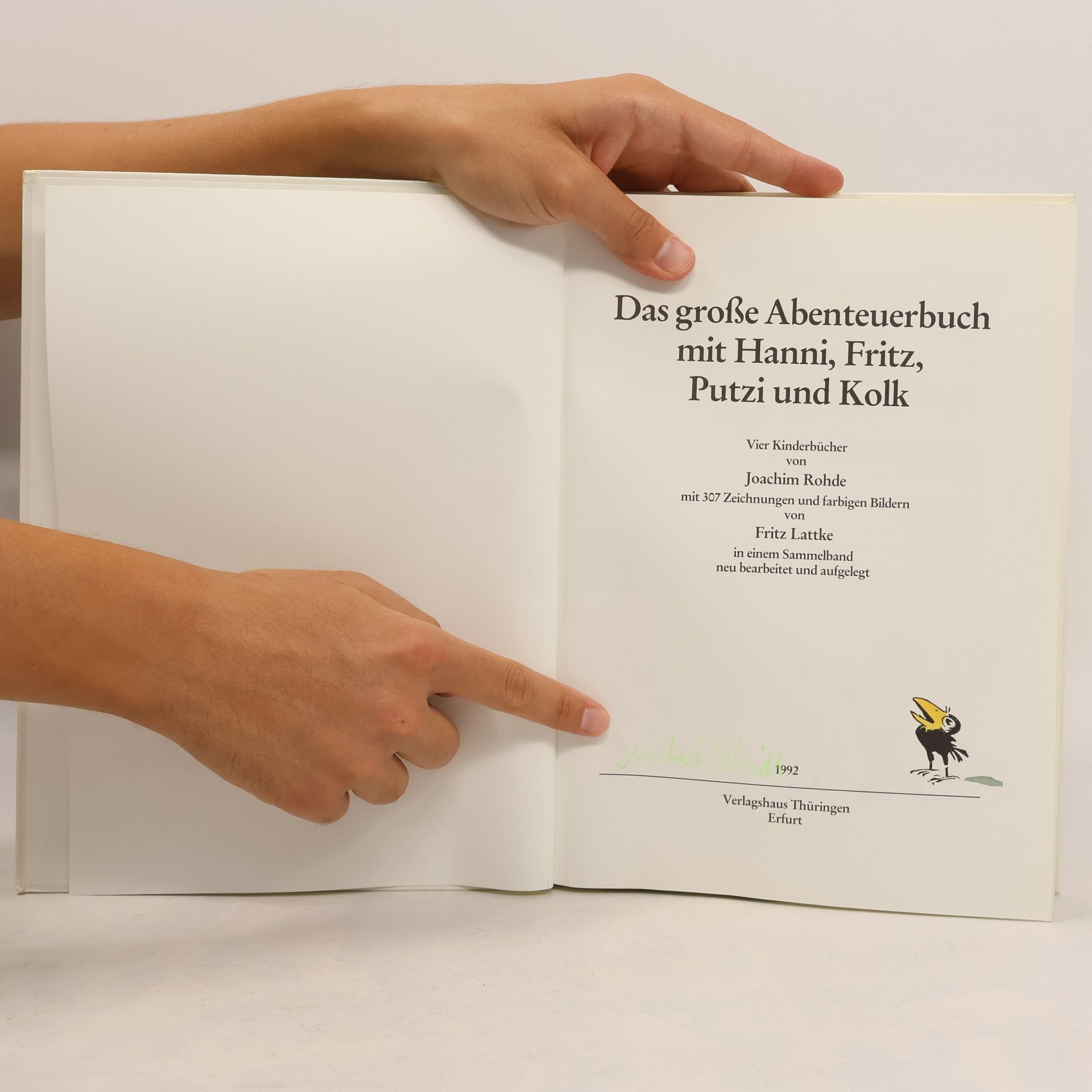 Das grosse Abenteuerbuch. Mit Hanni, Fritz, Putzi und Kolk