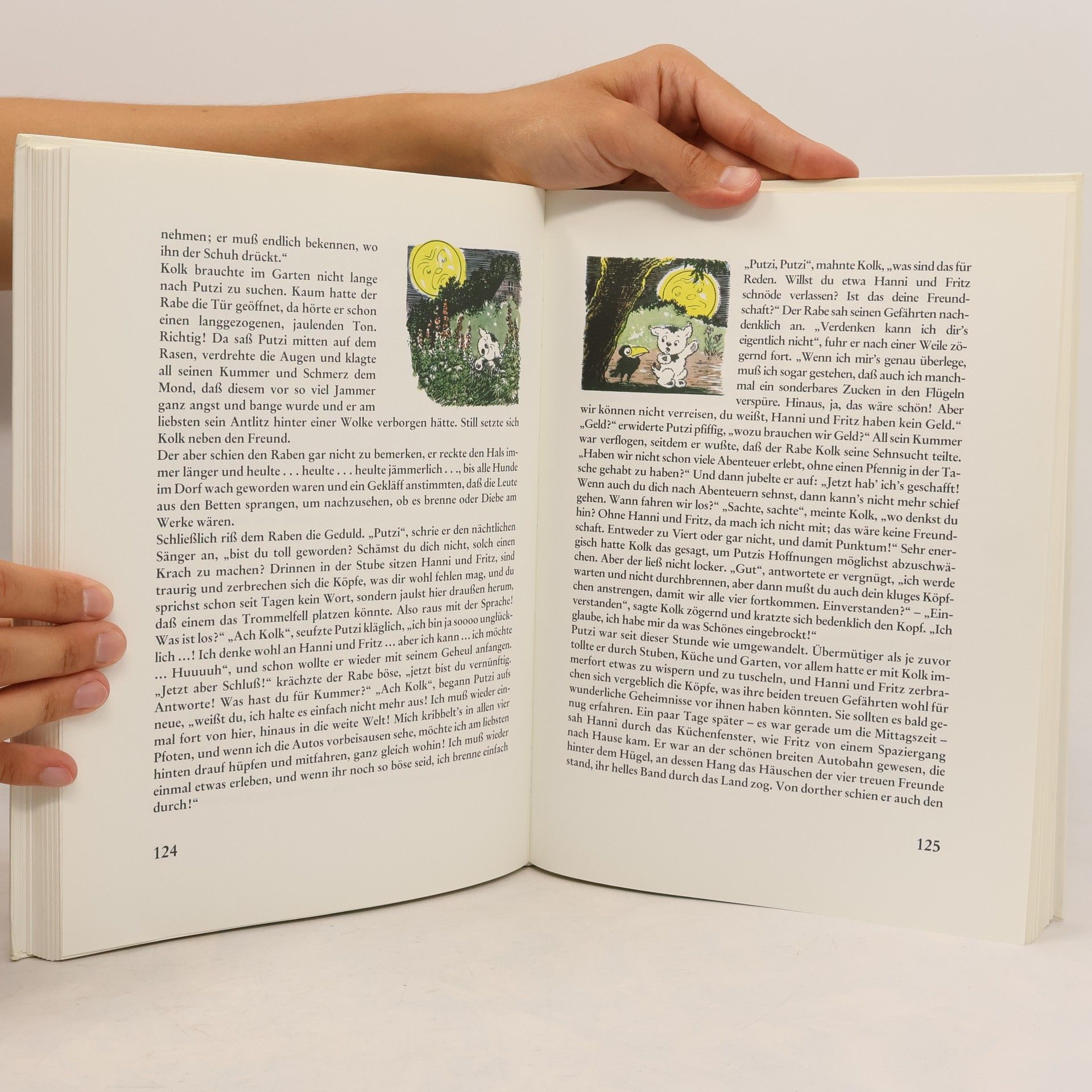 Das grosse Abenteuerbuch. Mit Hanni, Fritz, Putzi und Kolk