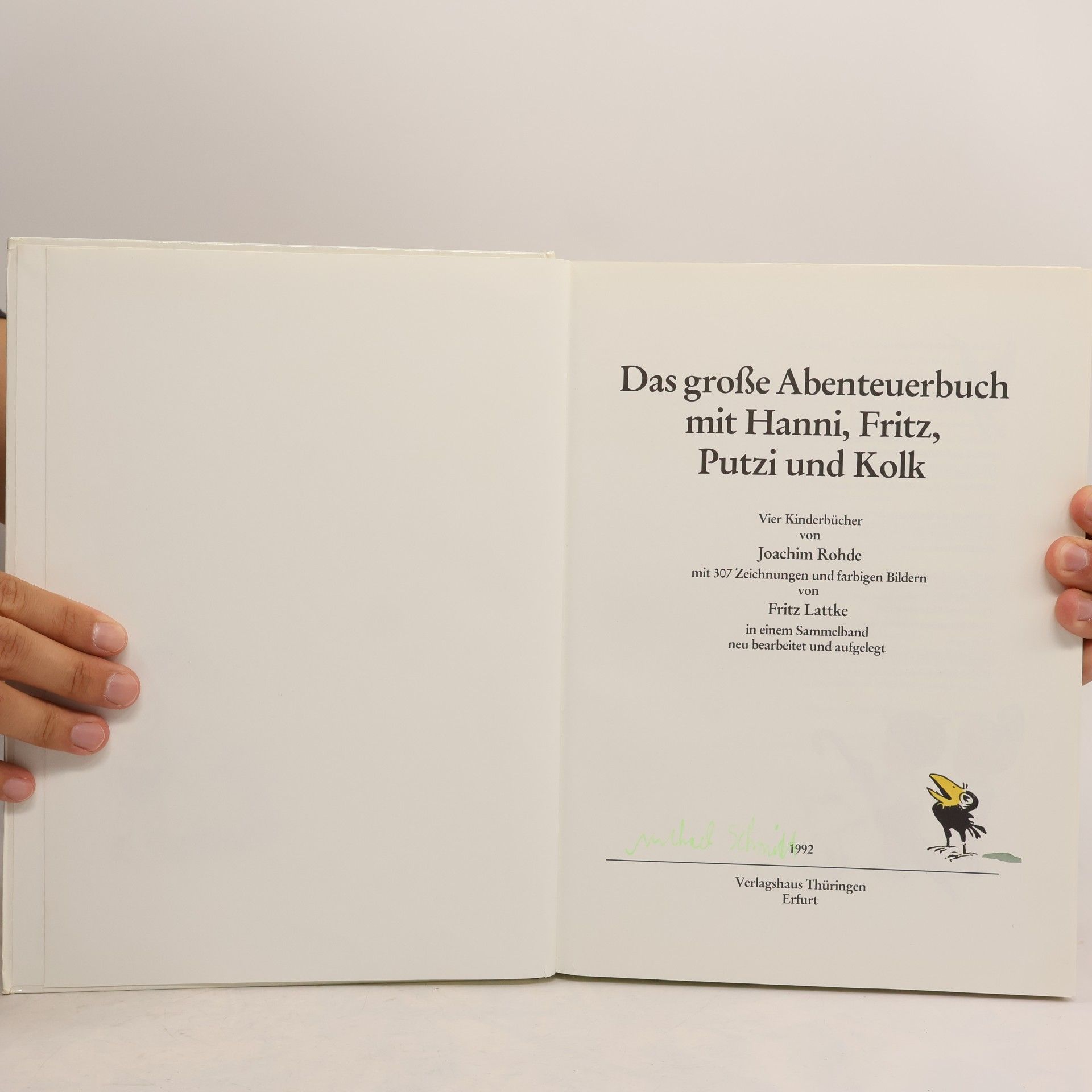 Das grosse Abenteuerbuch. Mit Hanni, Fritz, Putzi und Kolk