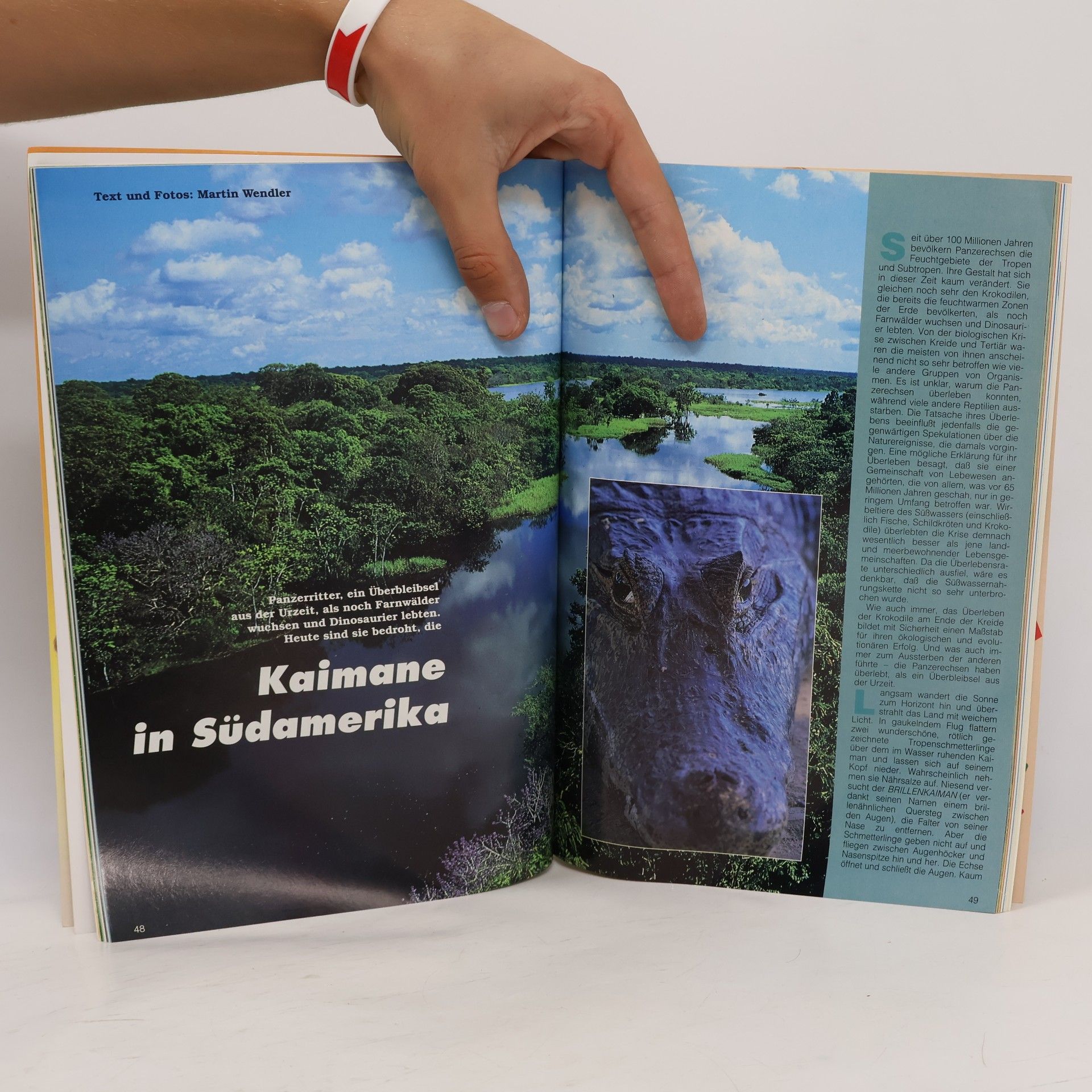 kolektiv Tierschutz Jahrbuch 1995