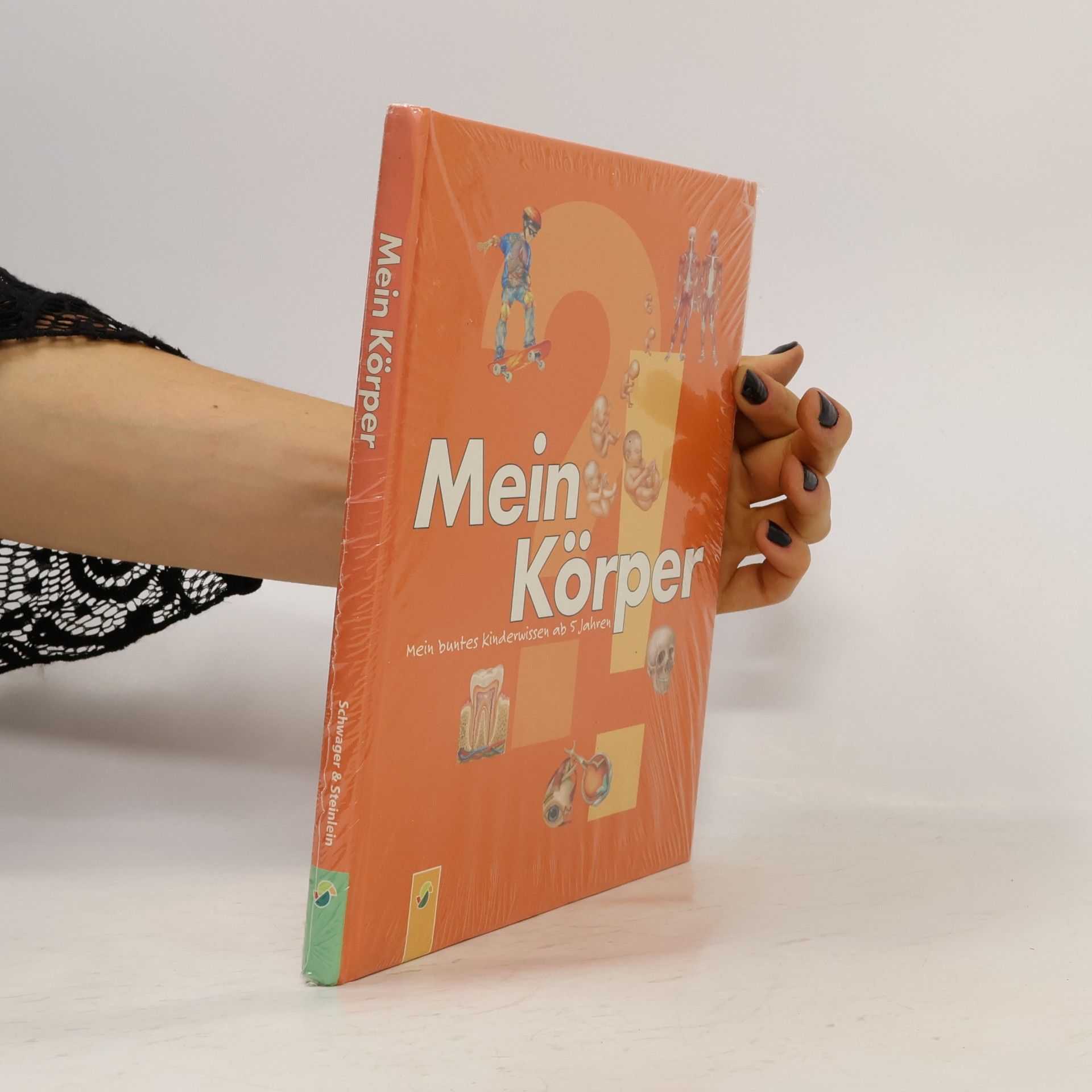 Mein Körper