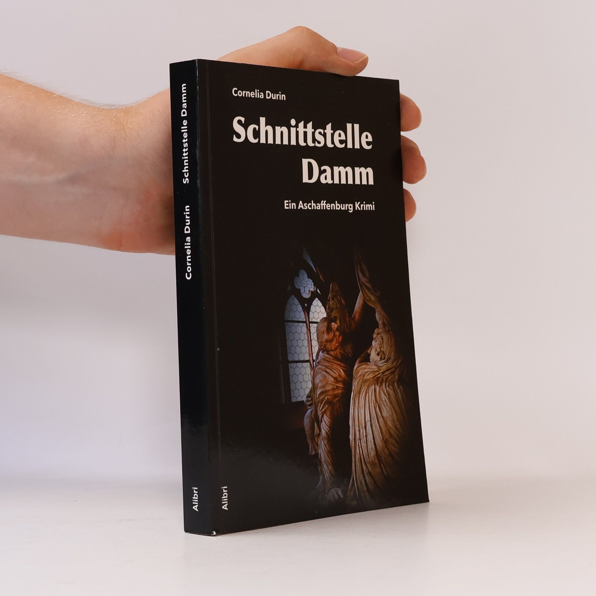 Cornelia Durin Schnittstelle Damm
