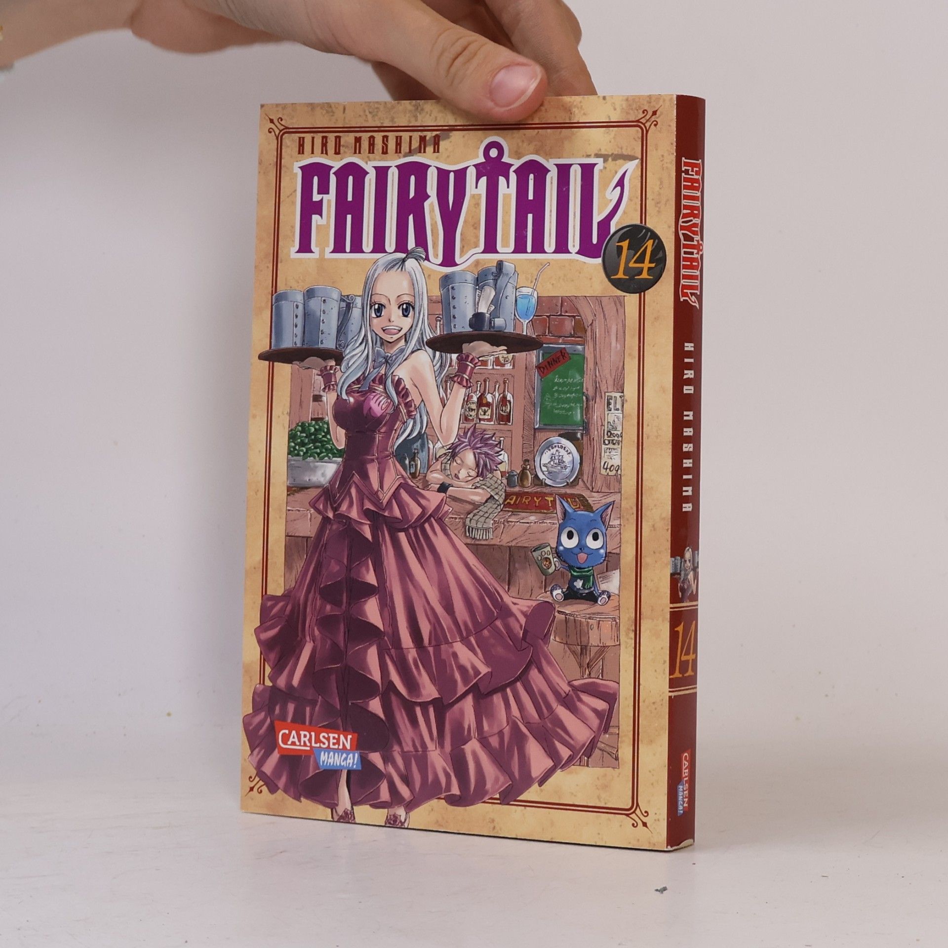 Hiro M. Fairy Tail 14