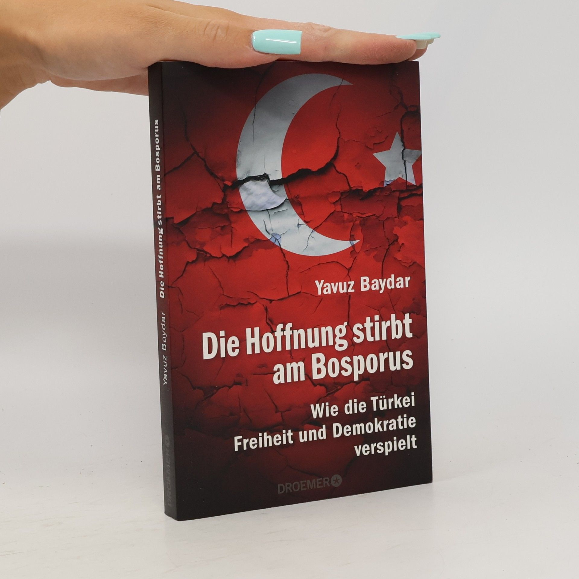 Yavuz Baydar Die Hoffnung stirbt am Bosporus