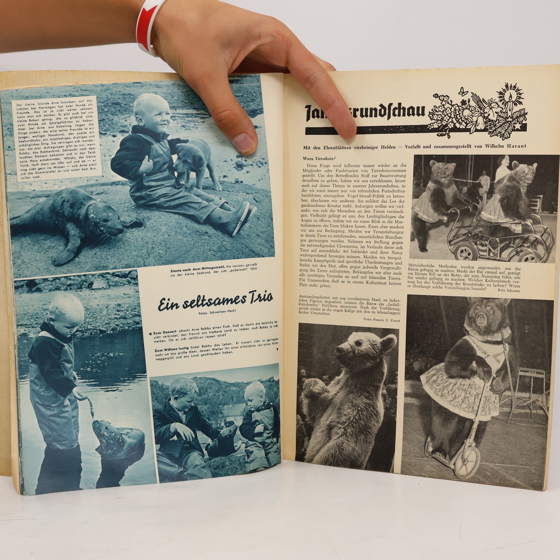 kolektiv Österreichischer Tierschutzkalender 1959