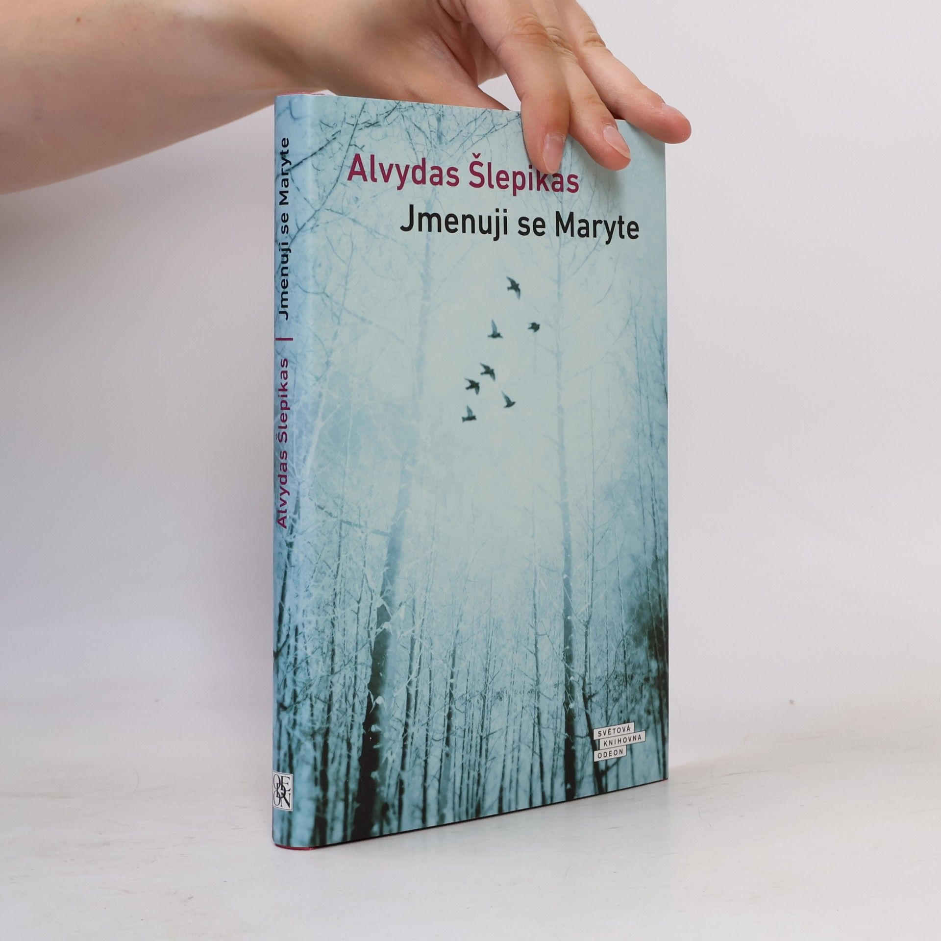 Alvydas Šlepikas Jmenuji se Maryte