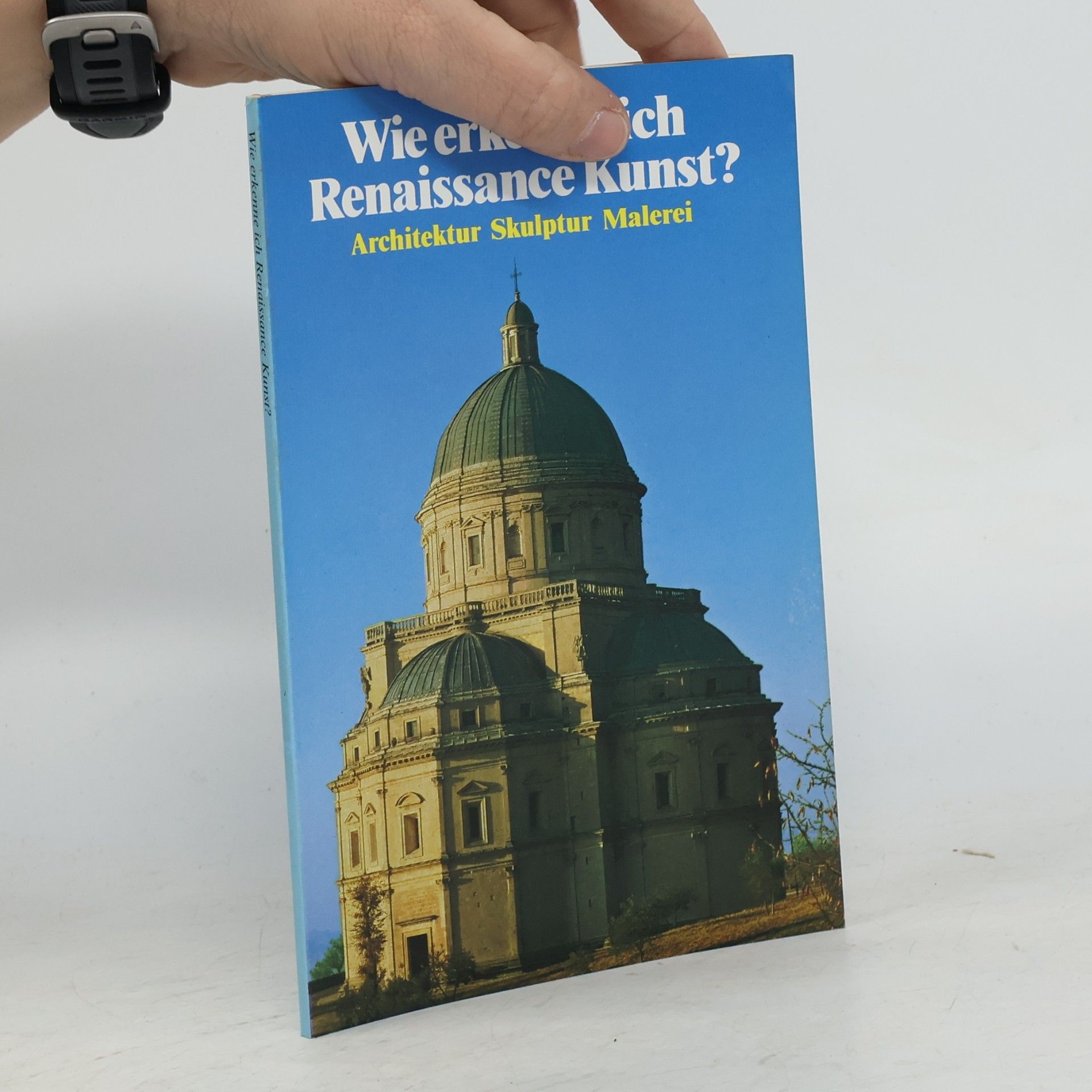 Flavio Conti Wie erkenne ich Renaissance Kunst? - Architektur Skulptur Malerei