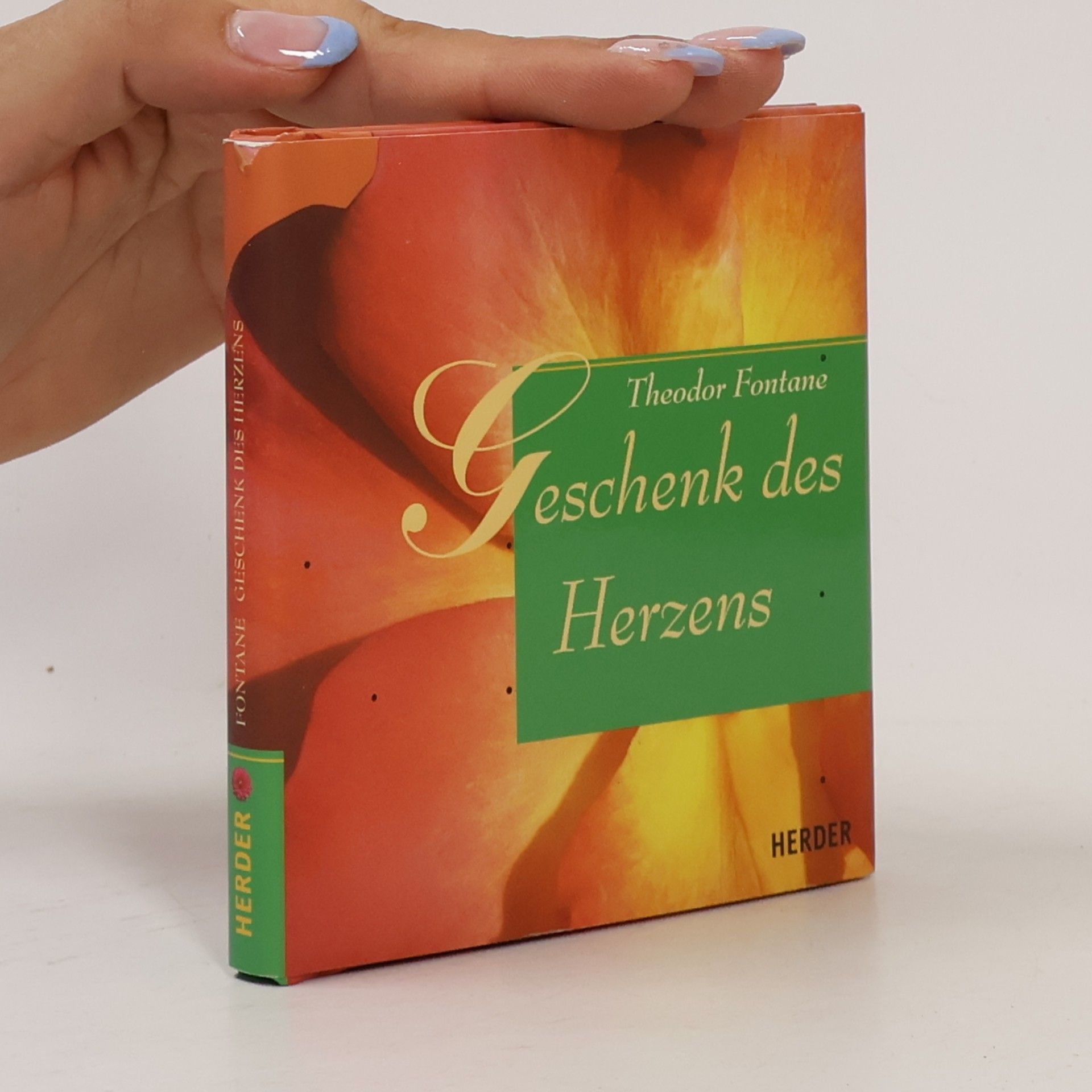 Theodor Fontane Geschenk des Herzens