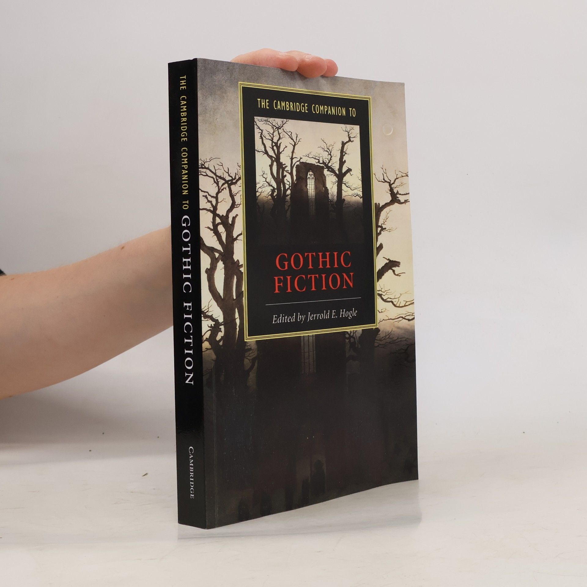 Autorenkollektiv The Cambridge Companion to Gothic Fiction