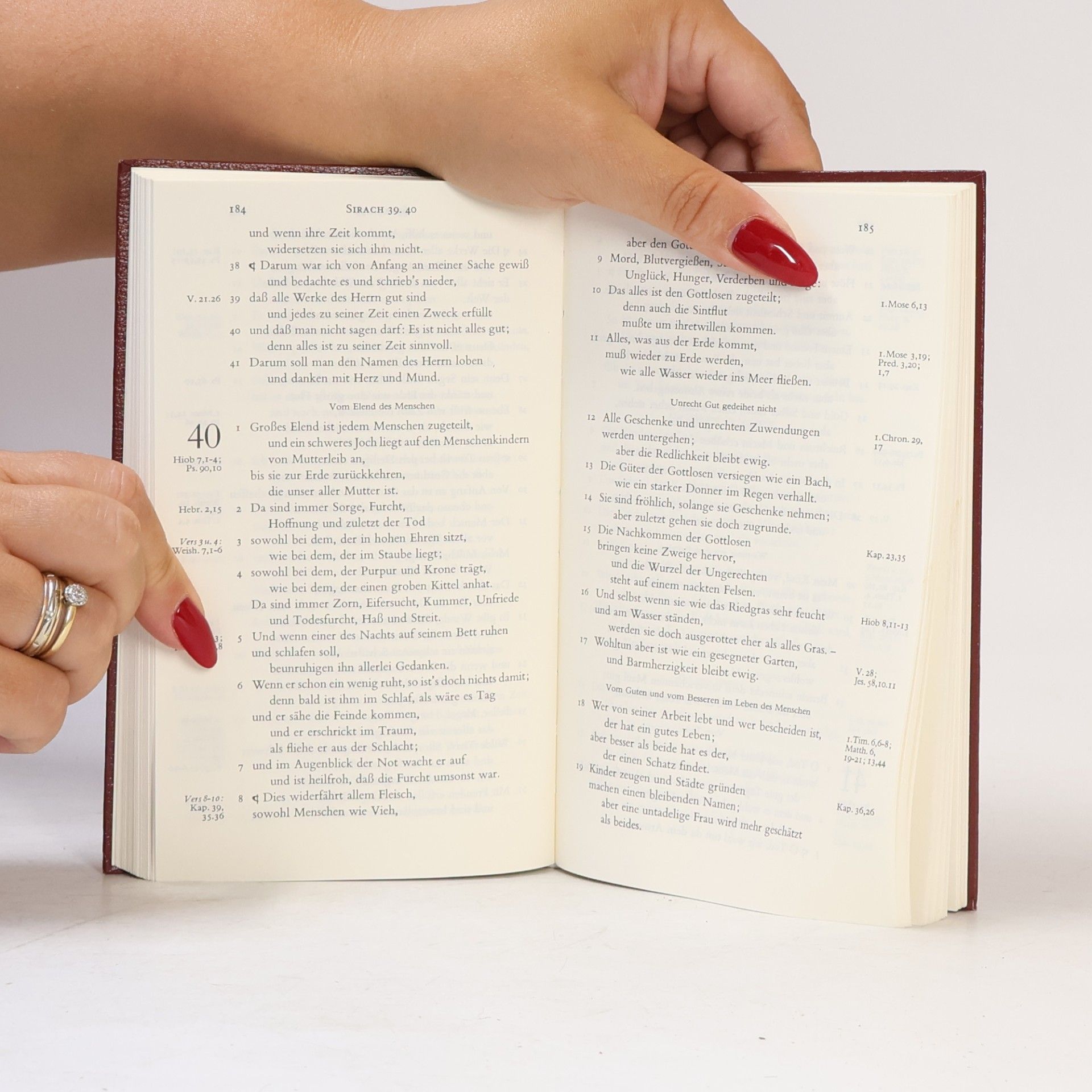 Martin Luther Die Apokryphen. Der Lutherbibel