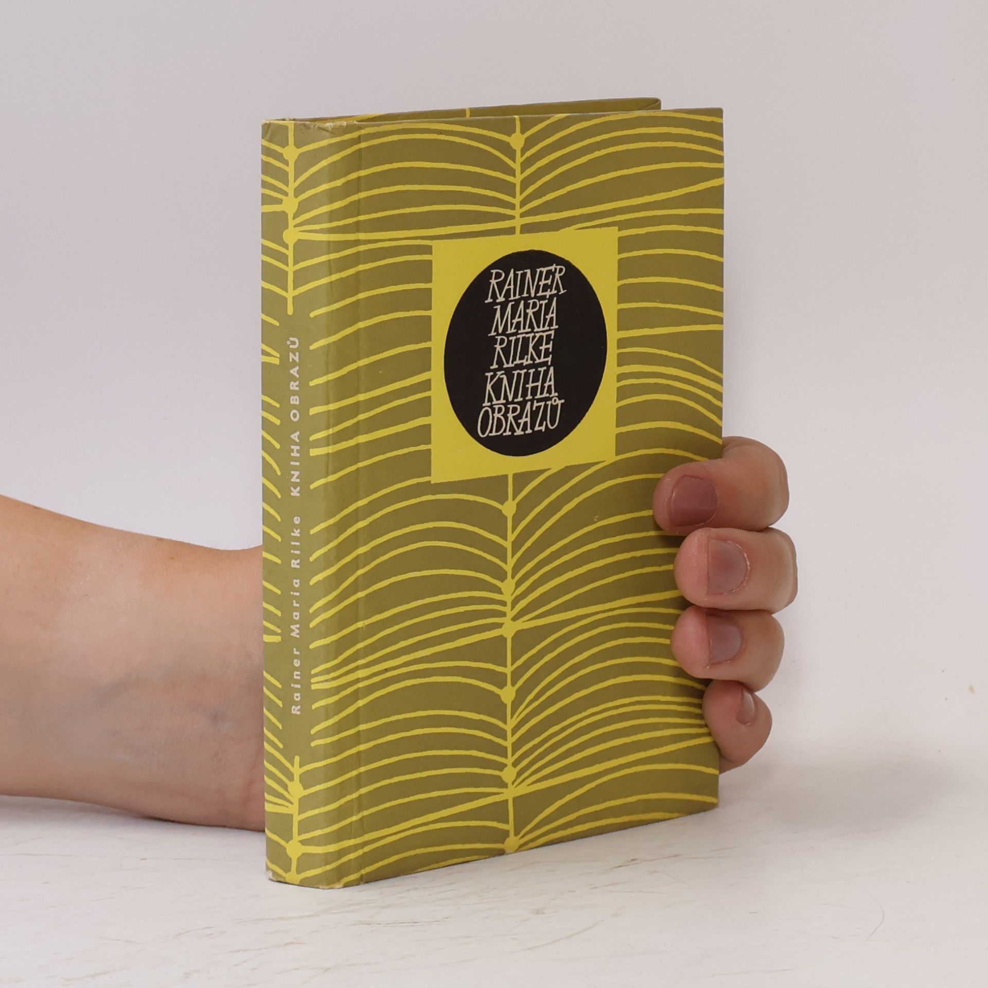 Rainer Maria Rilke Kniha obrazů