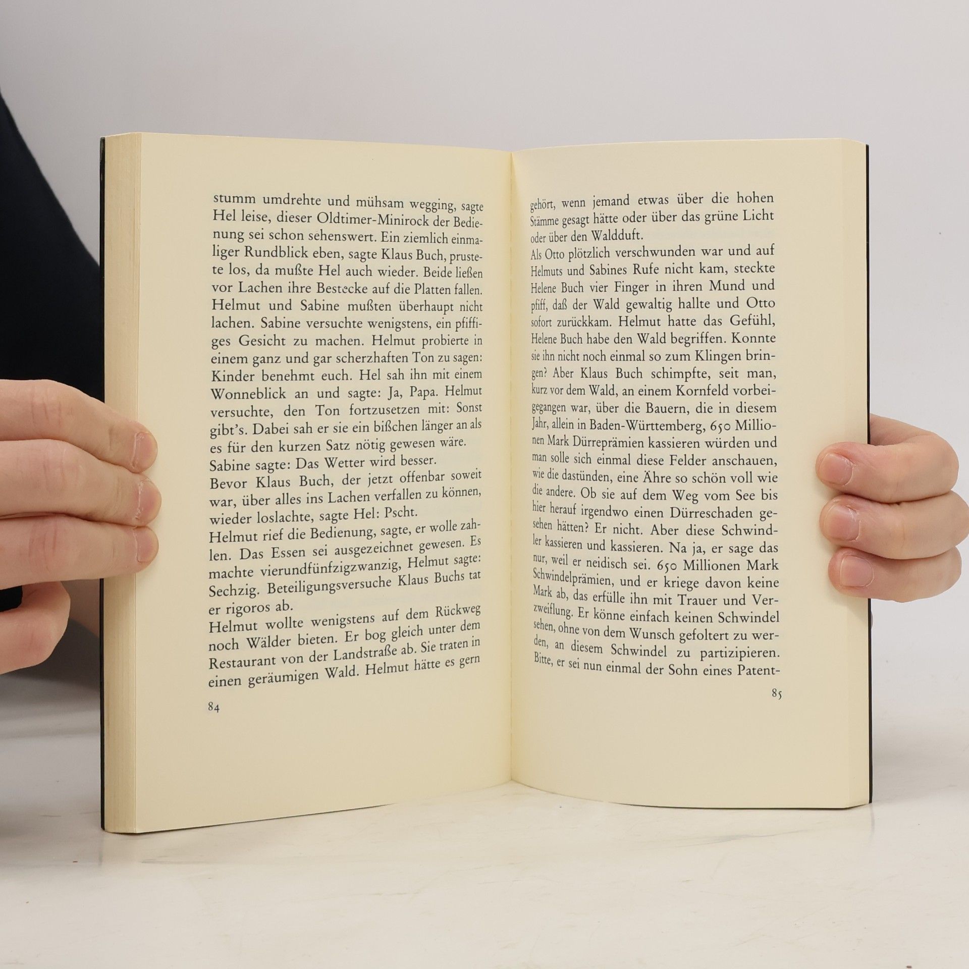 Martin Walser Ein fliehendes Pferd