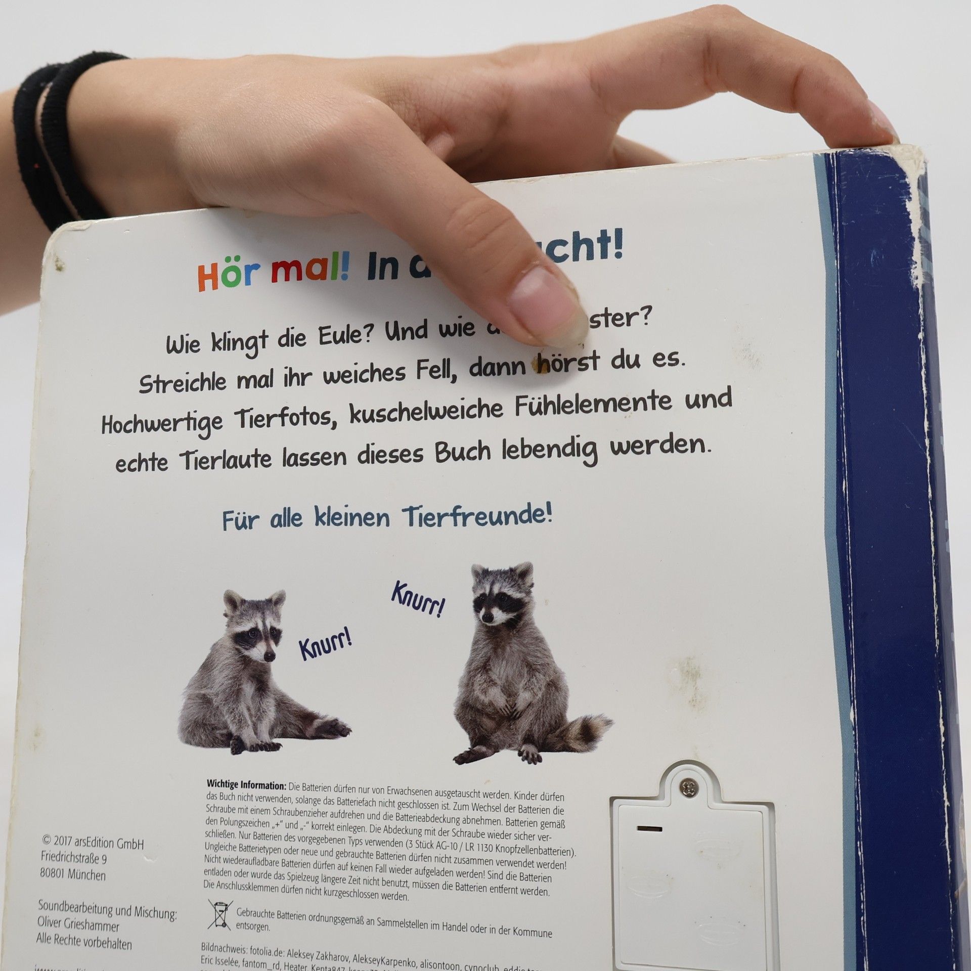 Hör mal rein, wer kann das sein? - In der Nacht