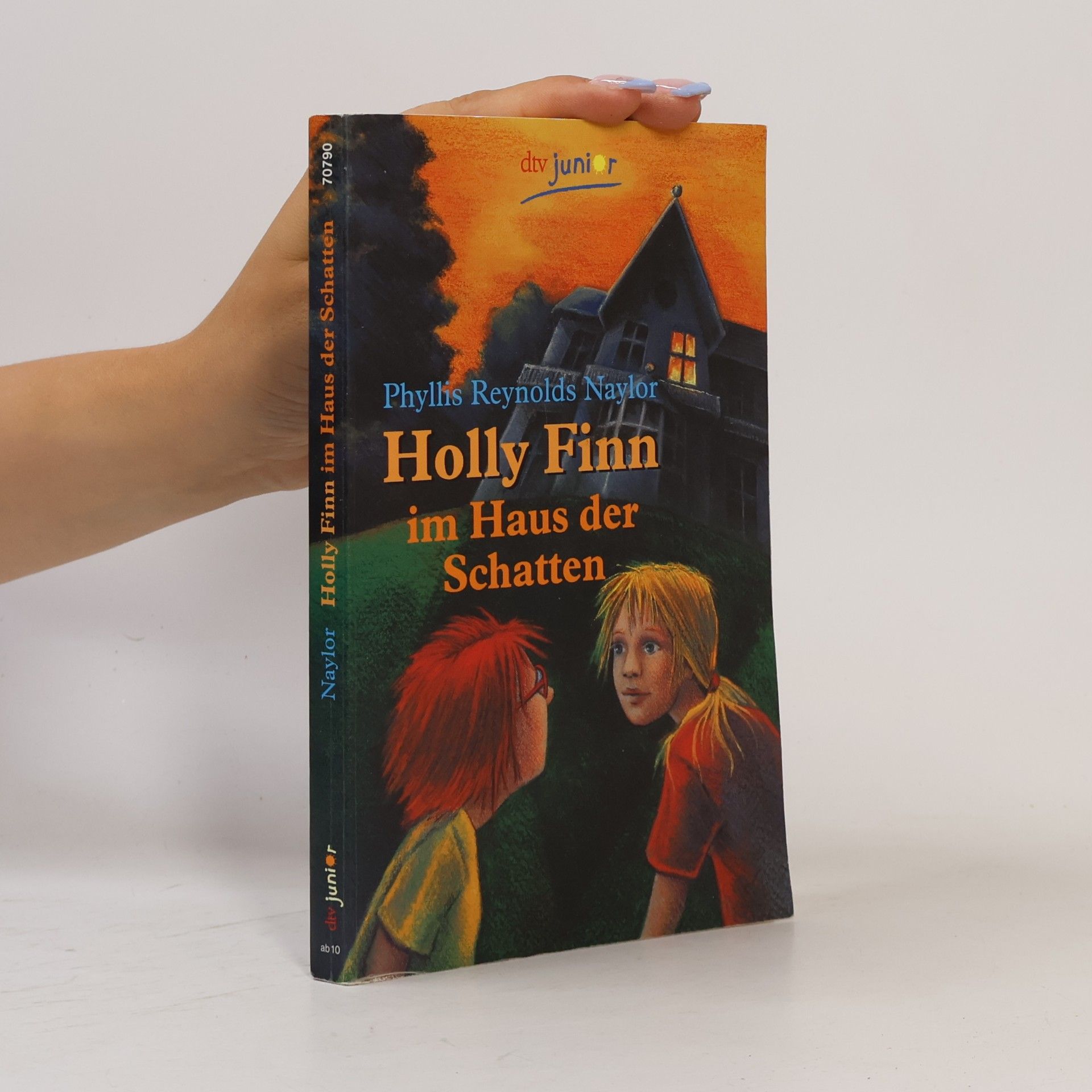 Phyllis Reynolds Naylor Holly Finn im Haus der Schatten