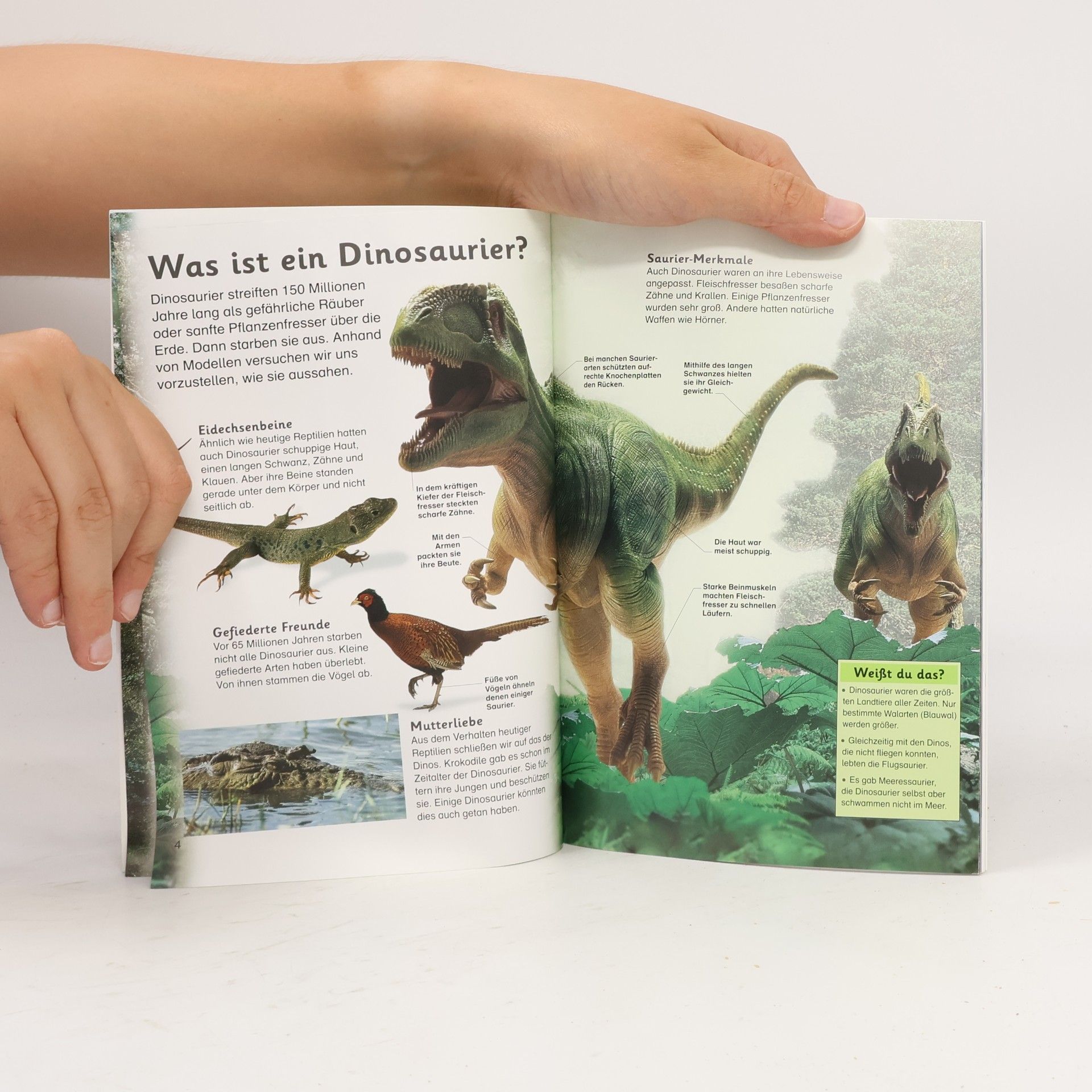Auteurscollectief Dinosaurier