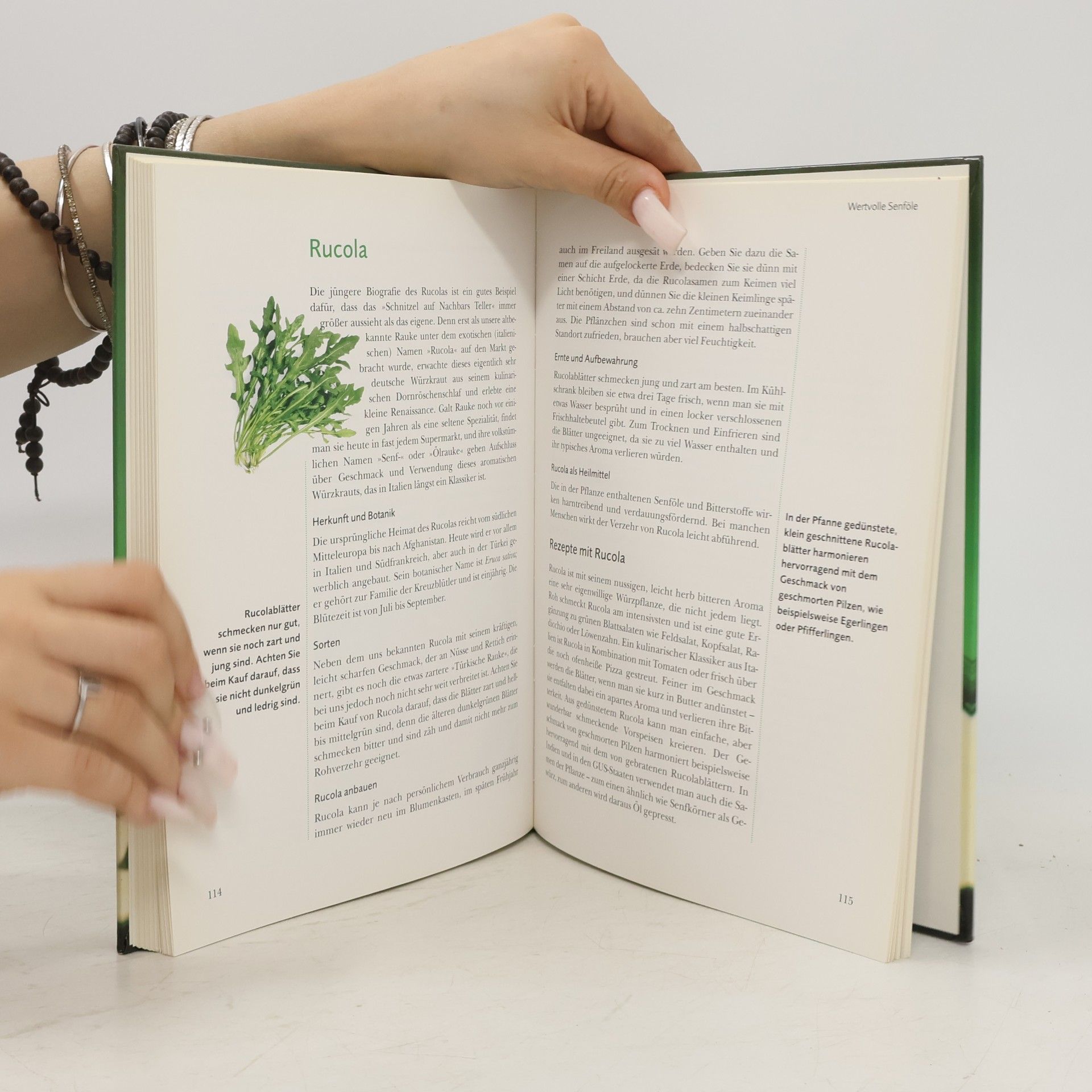 Heike Knophius Das große Kräuterkochbuch