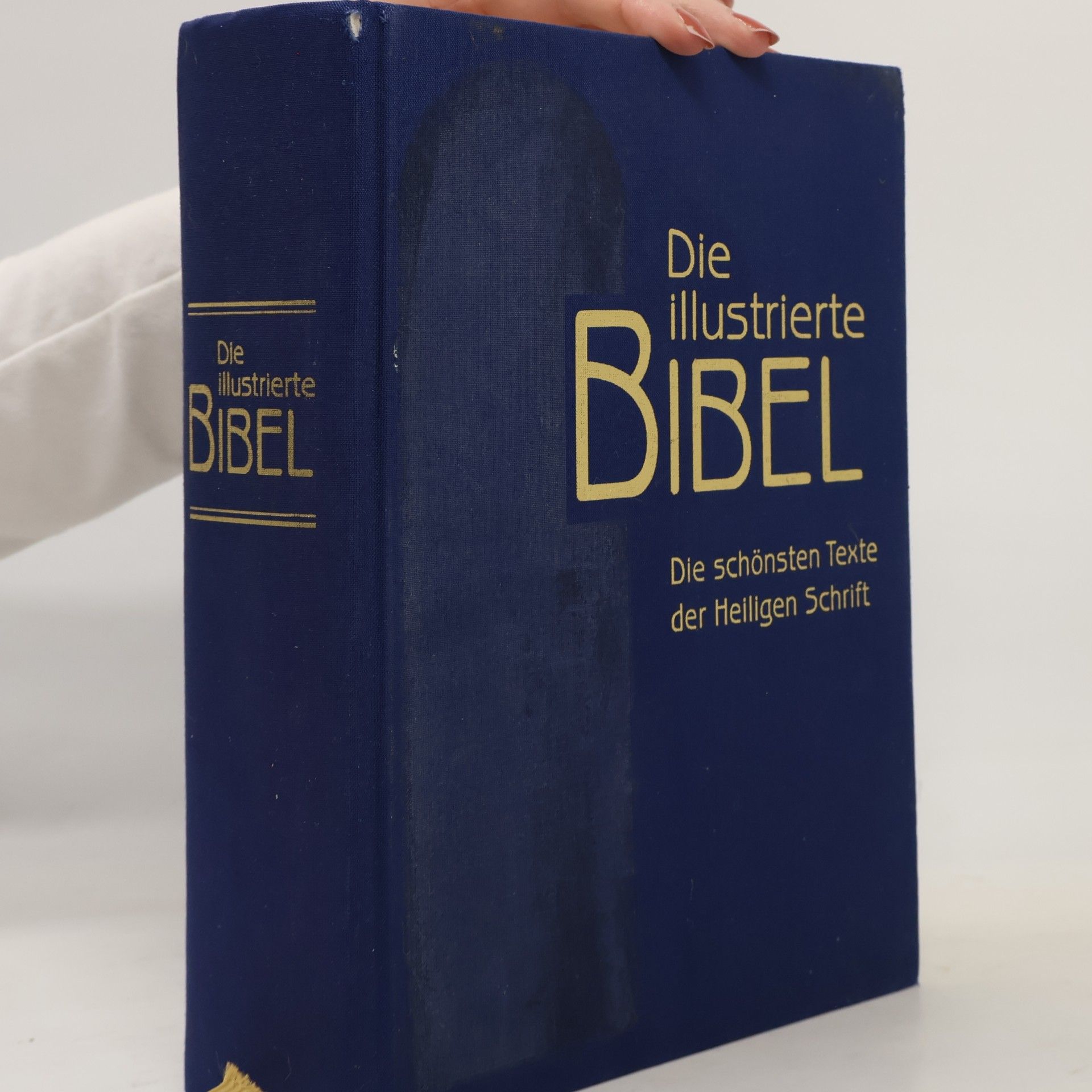 Falko Spiller Die illustrierte Bibel