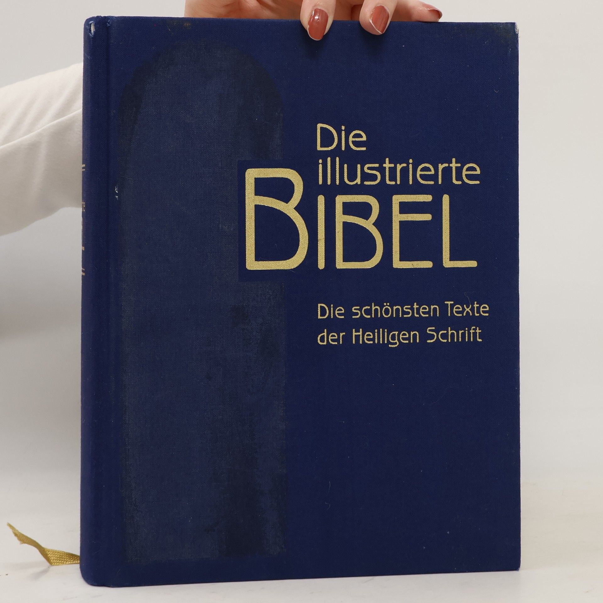 Falko Spiller Die illustrierte Bibel