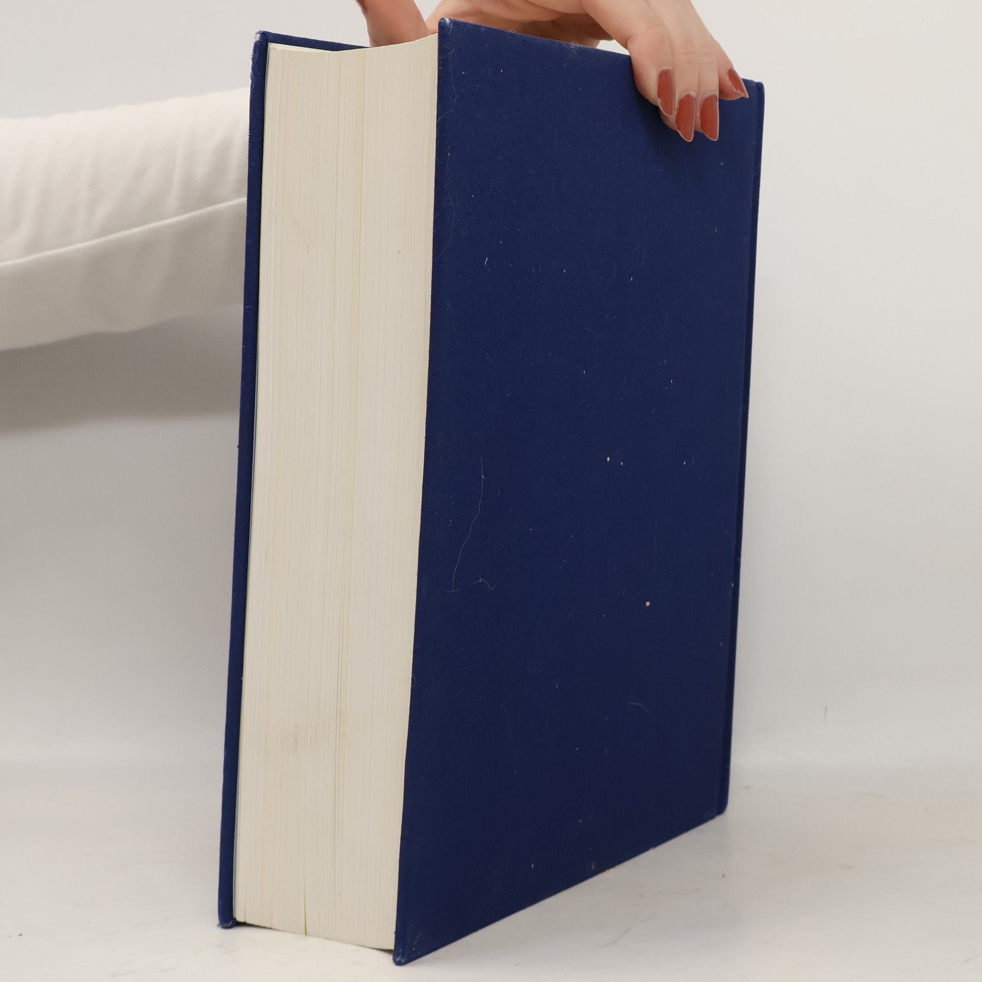 Falko Spiller Die illustrierte Bibel