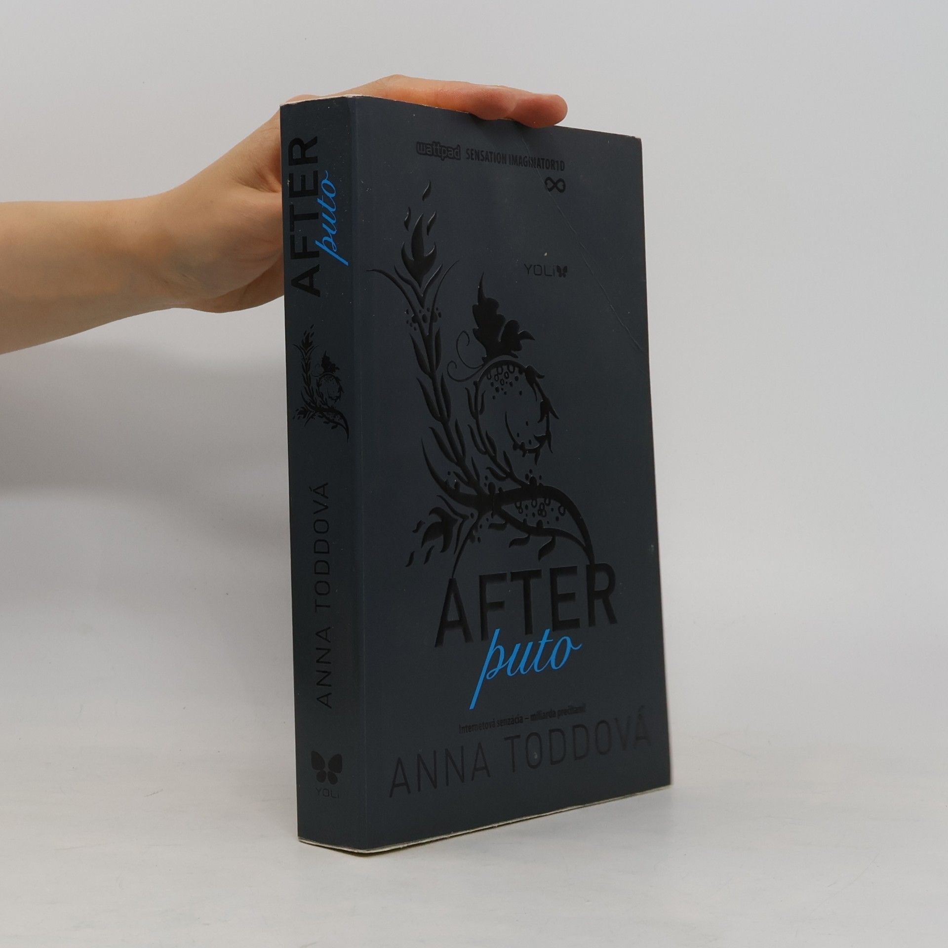 Anna Todd After 4. Puto