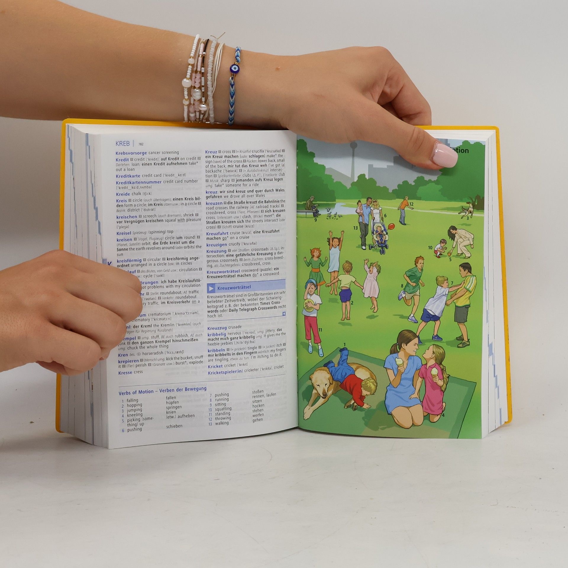 Wolfgang Walther Langenscheidt, Power dictionary Englisch